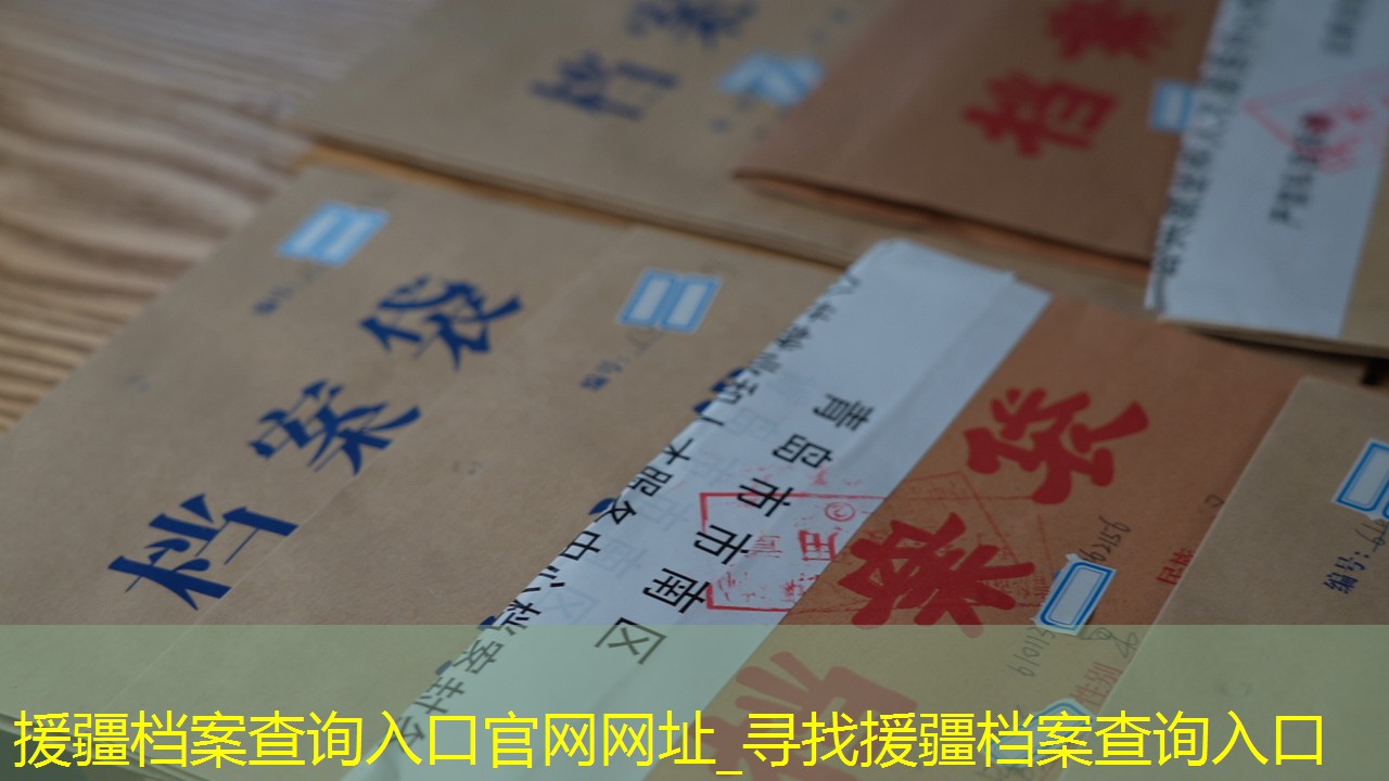 档案查询