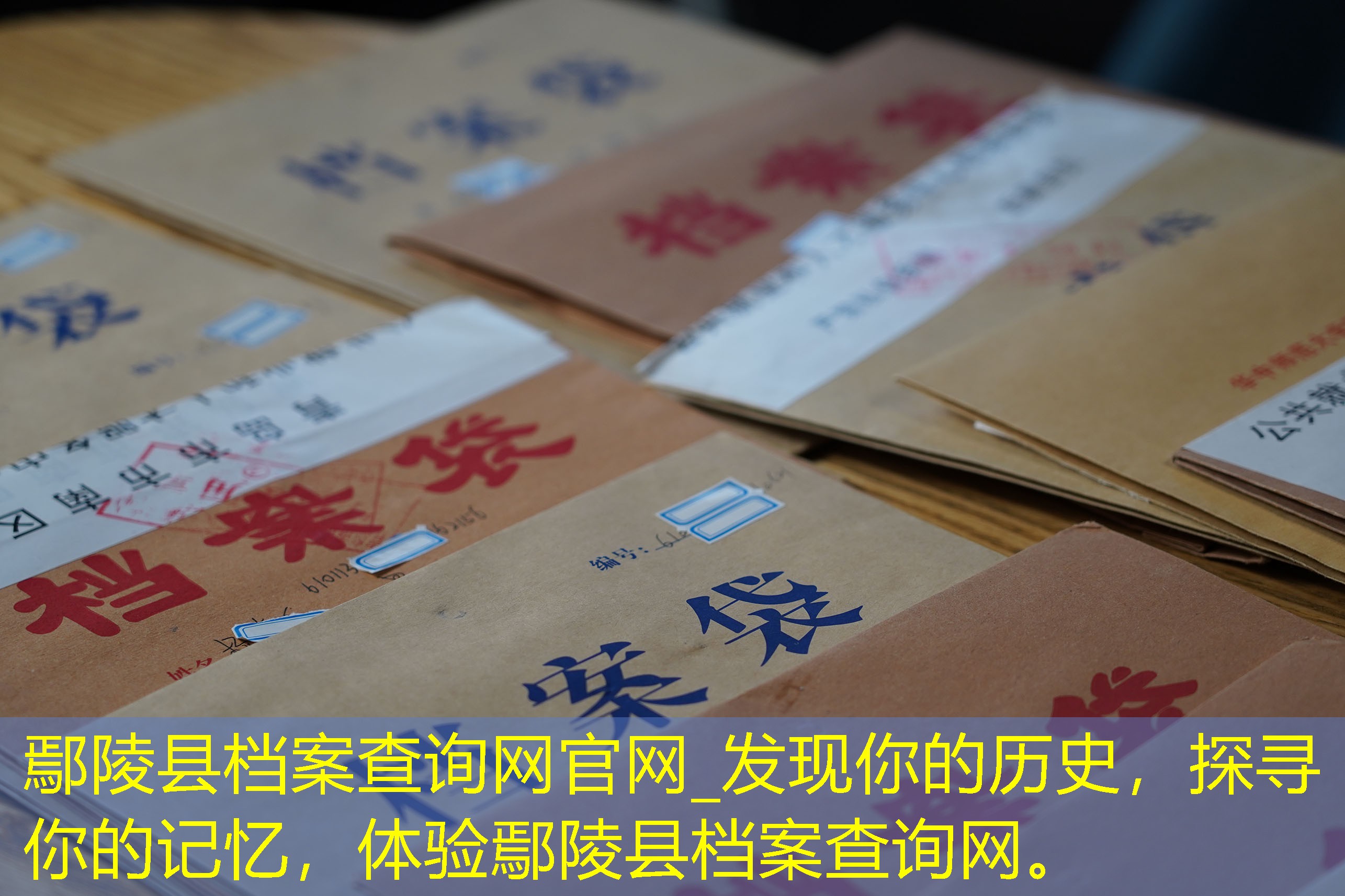 档案查询