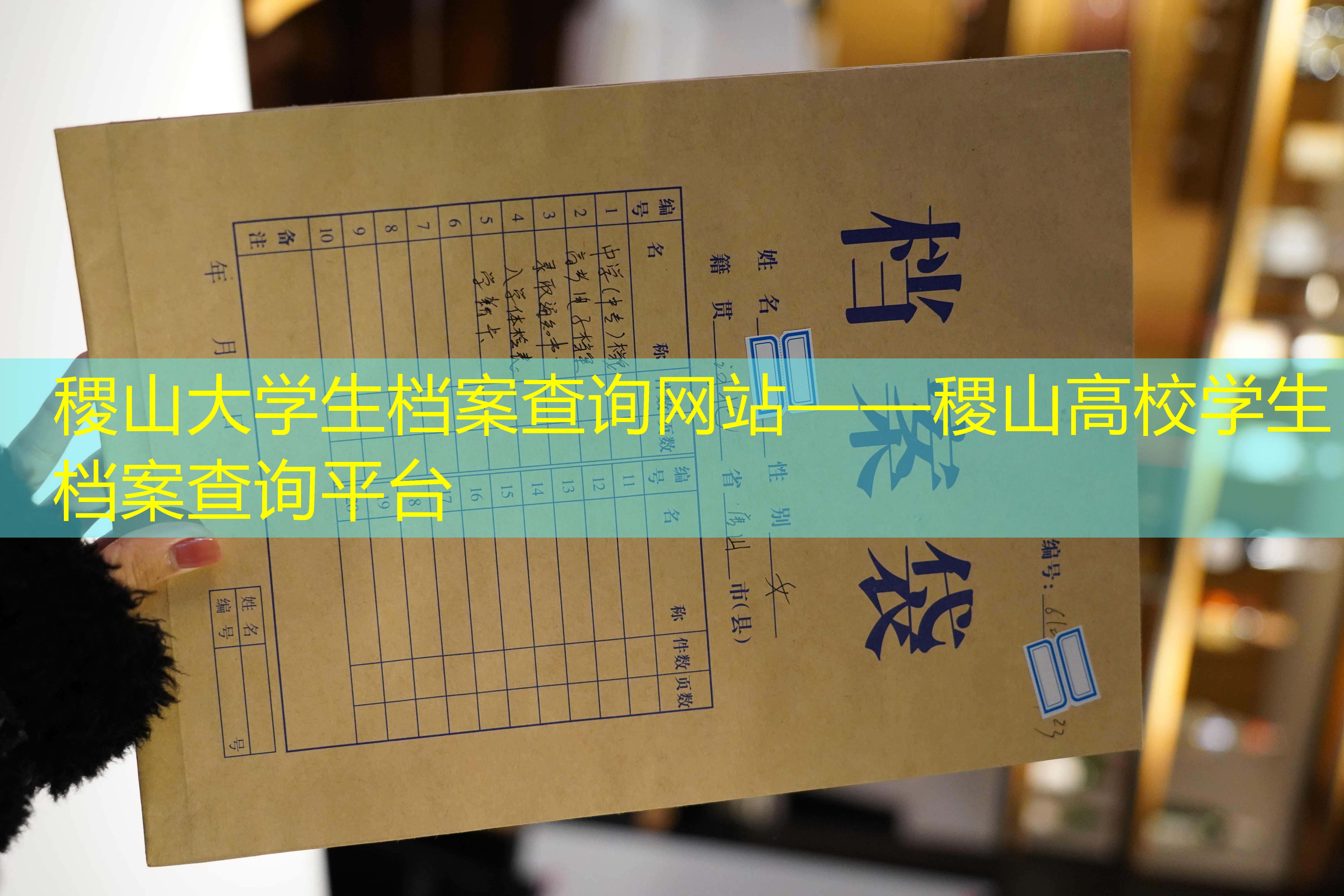档案查询