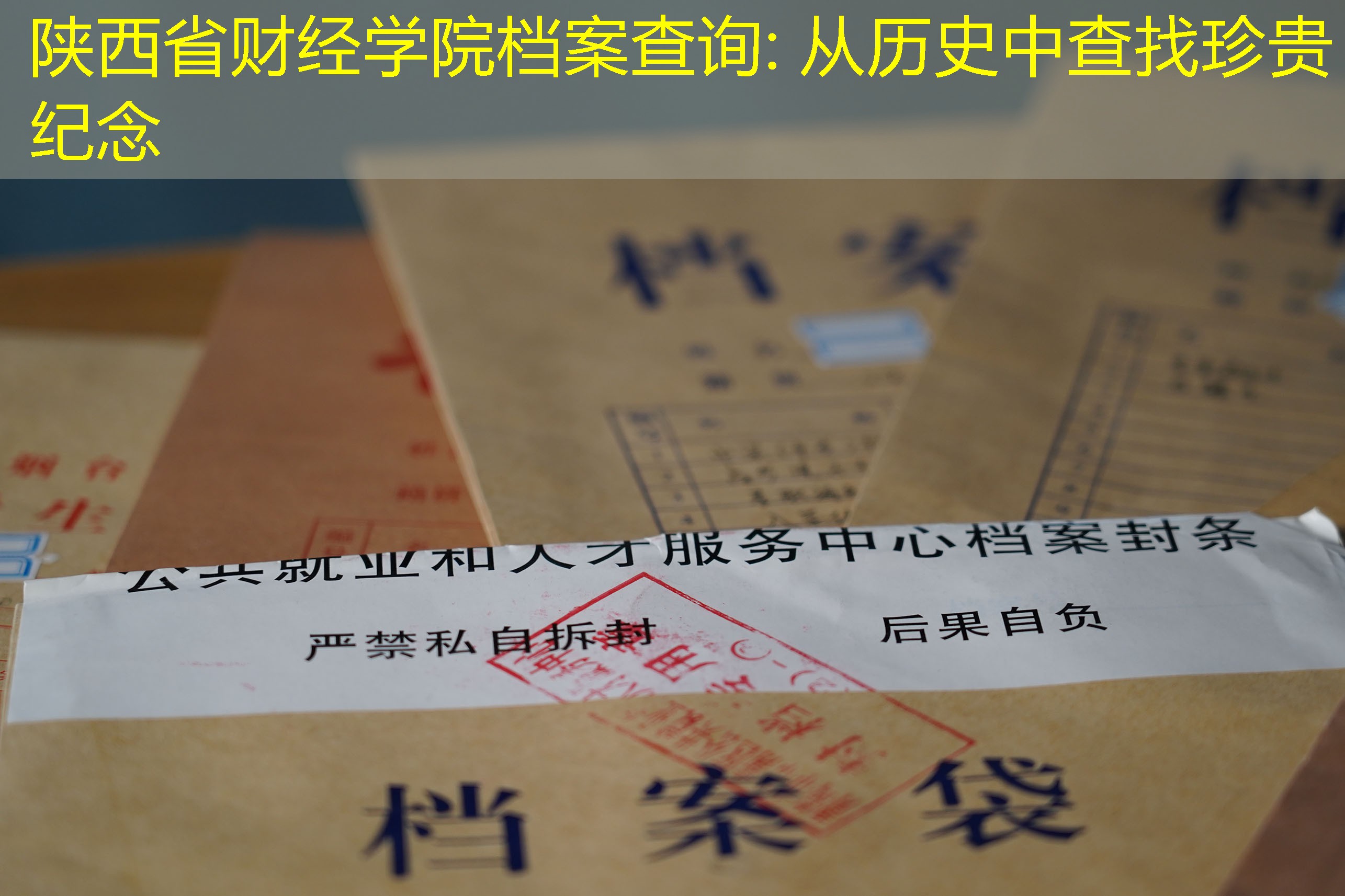档案查询