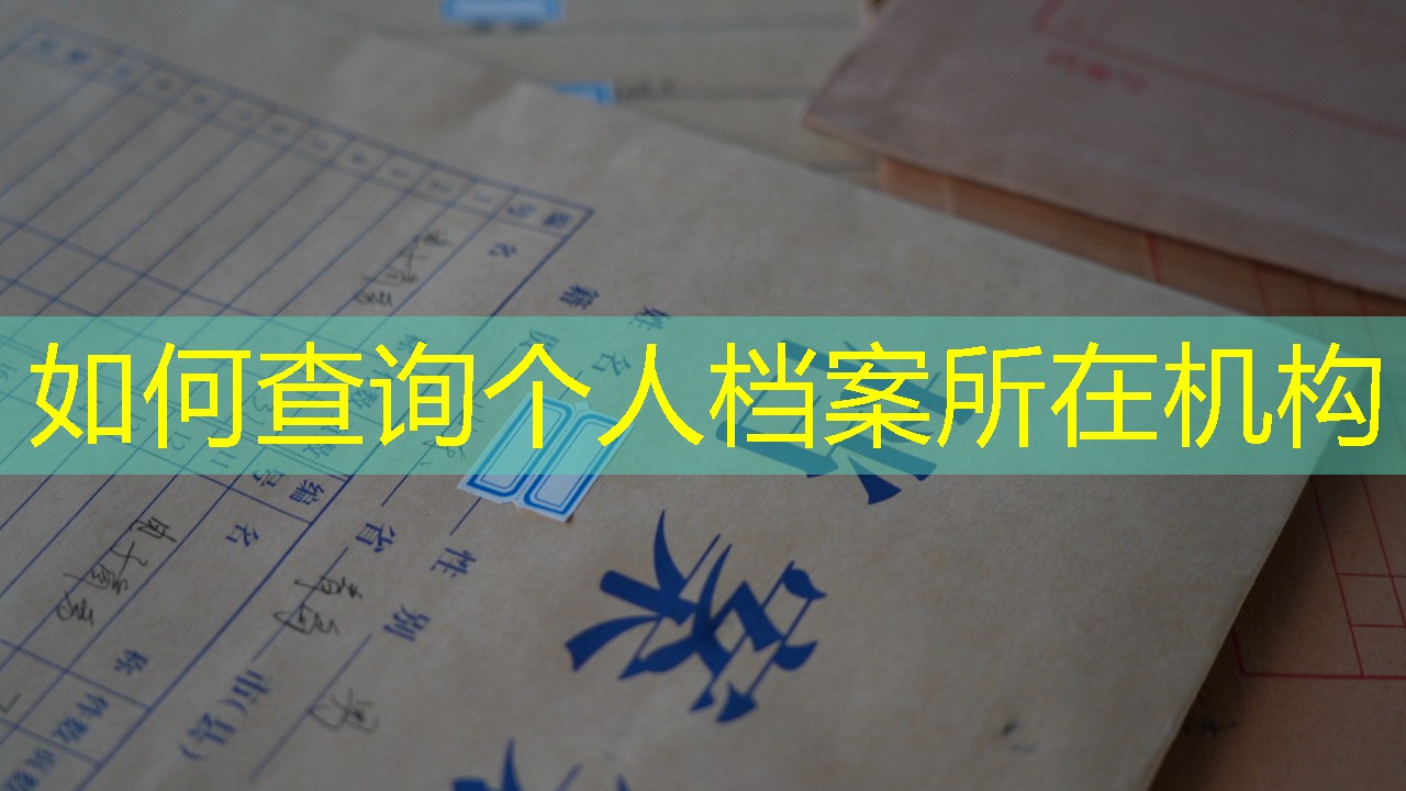 档案查询
