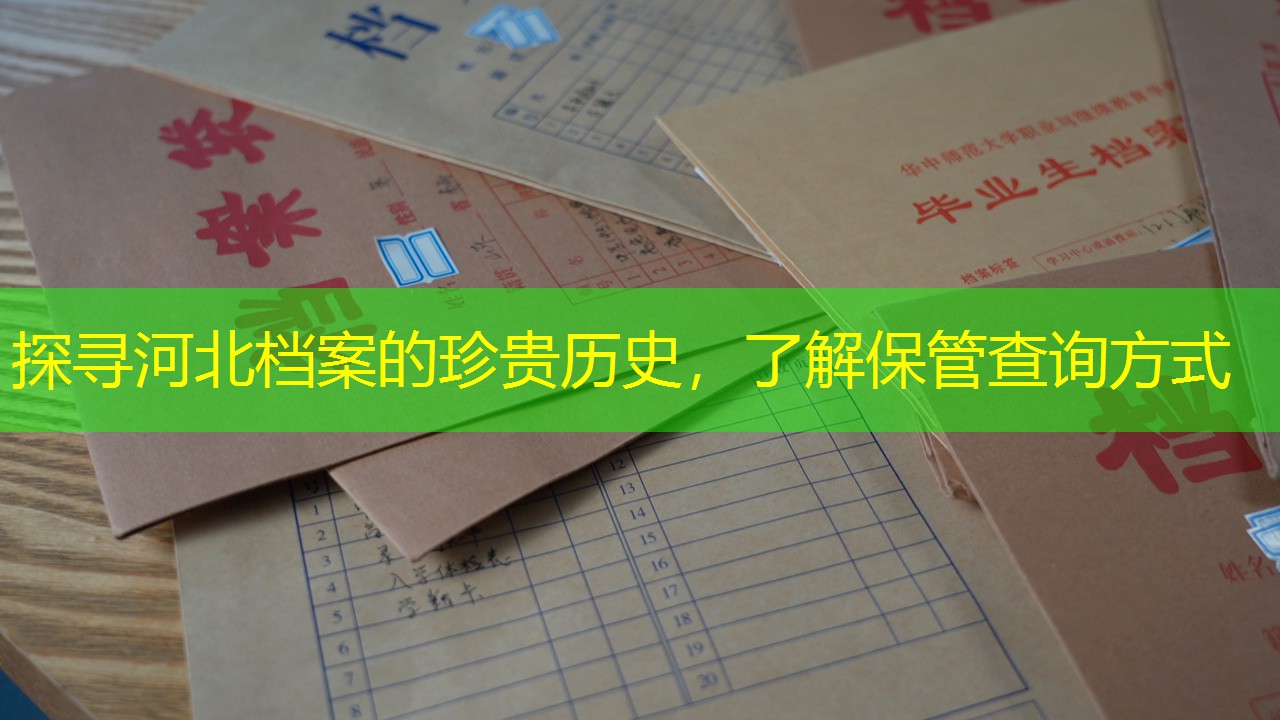 档案查询