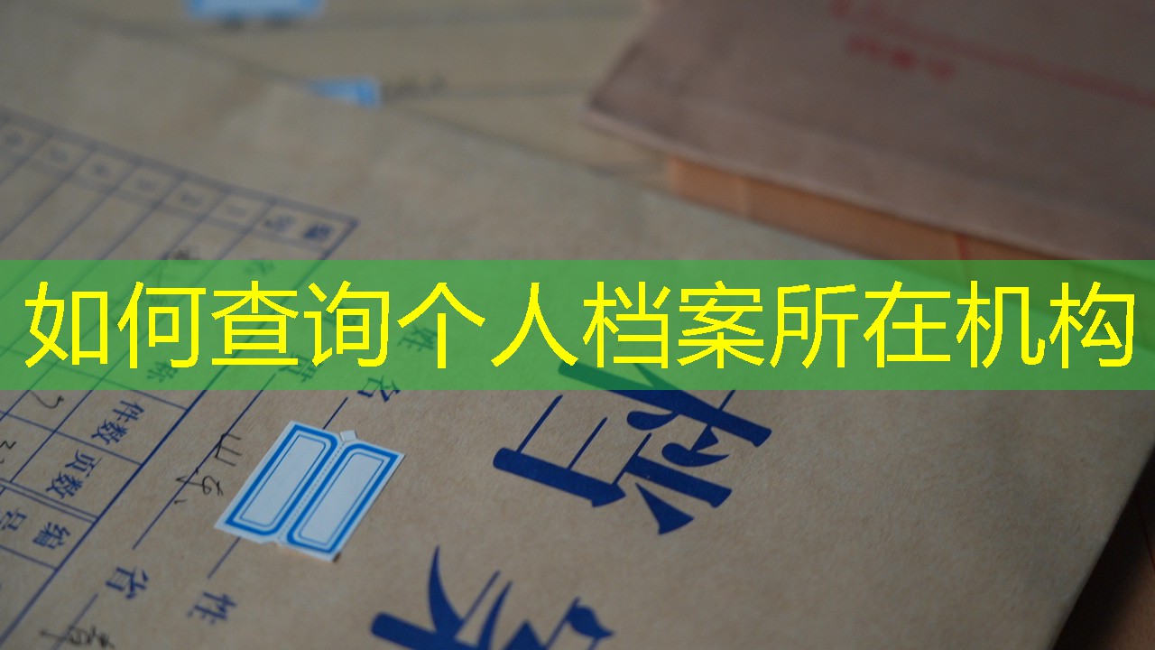 档案查询