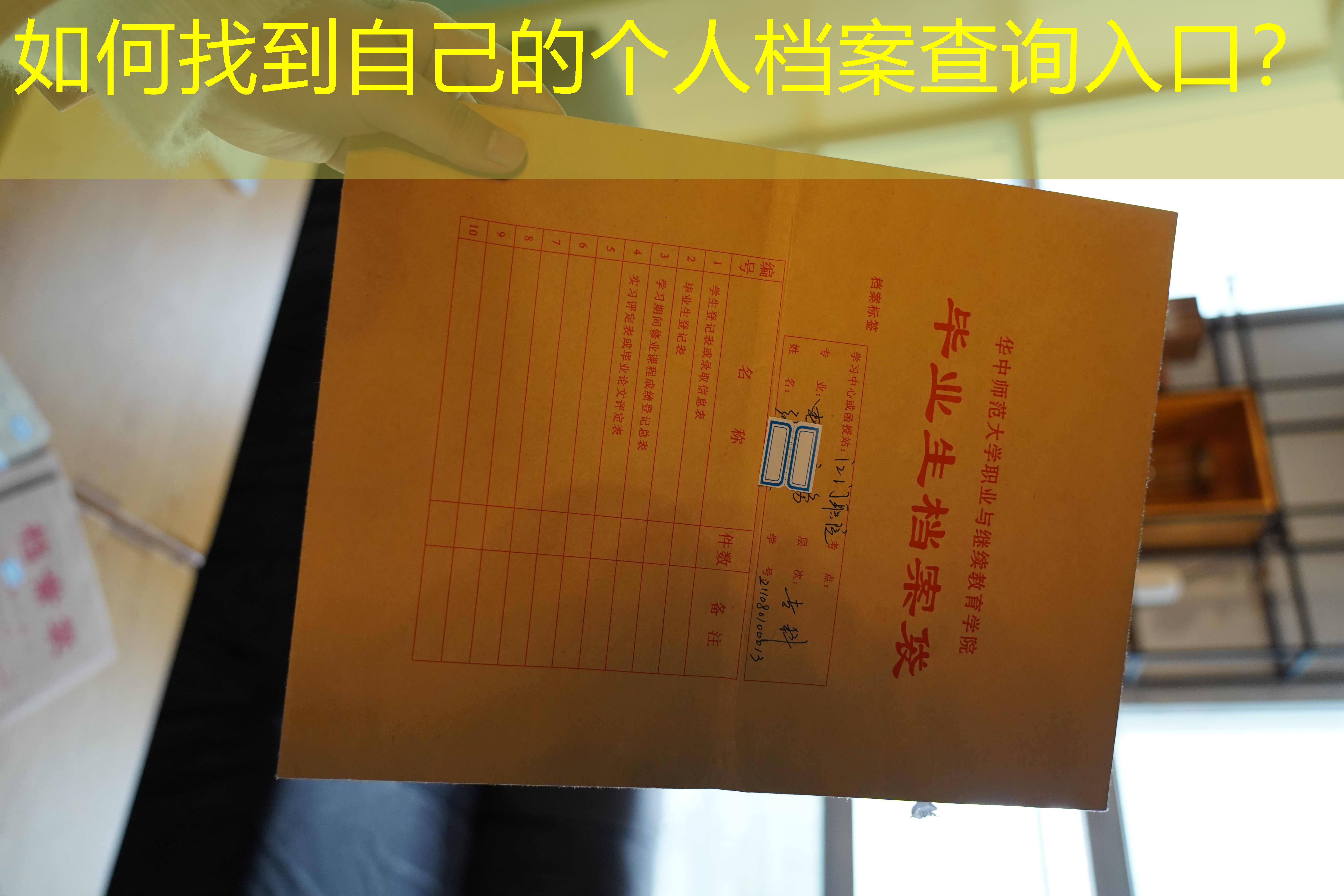 档案查询