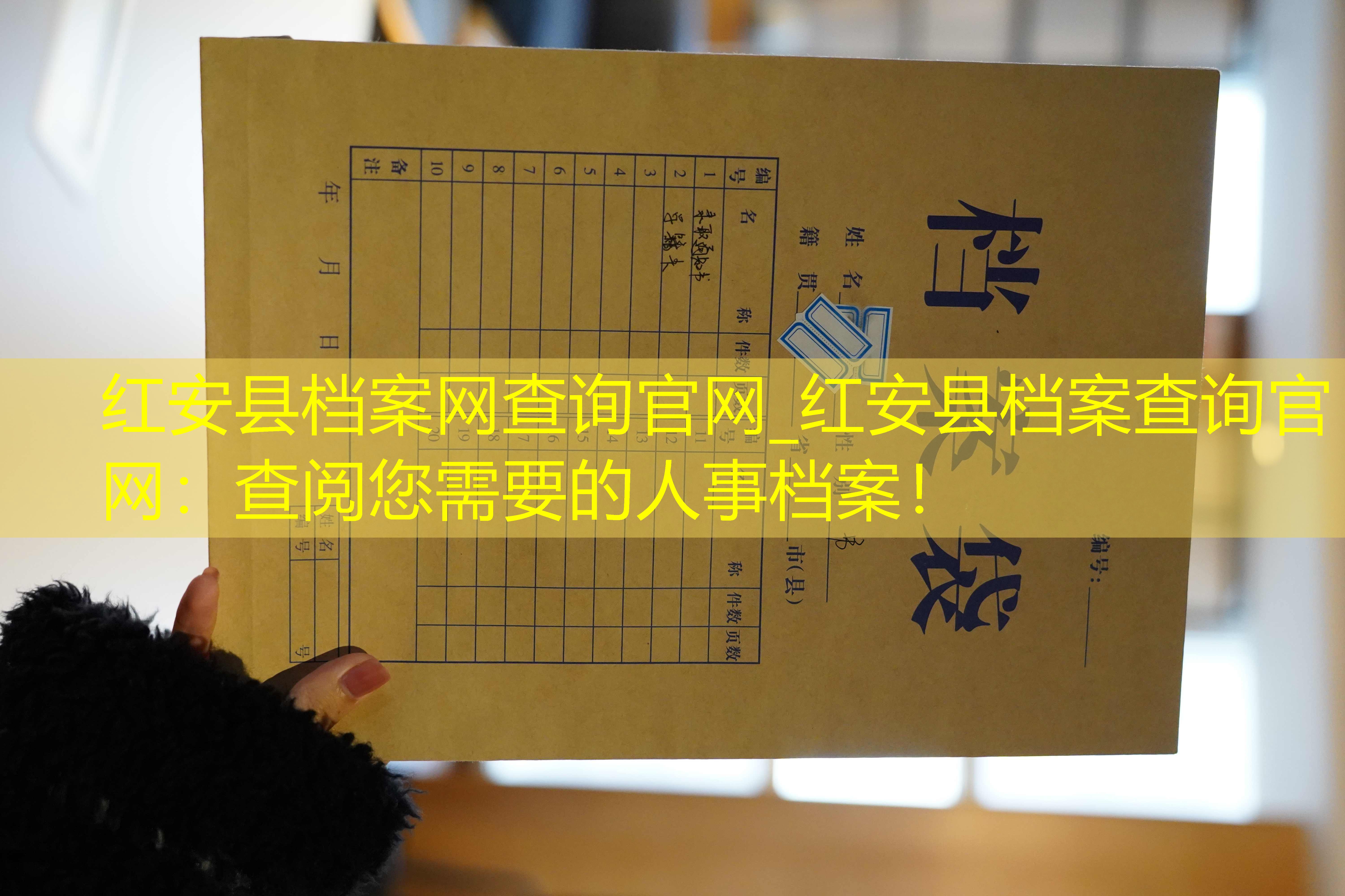 档案查询