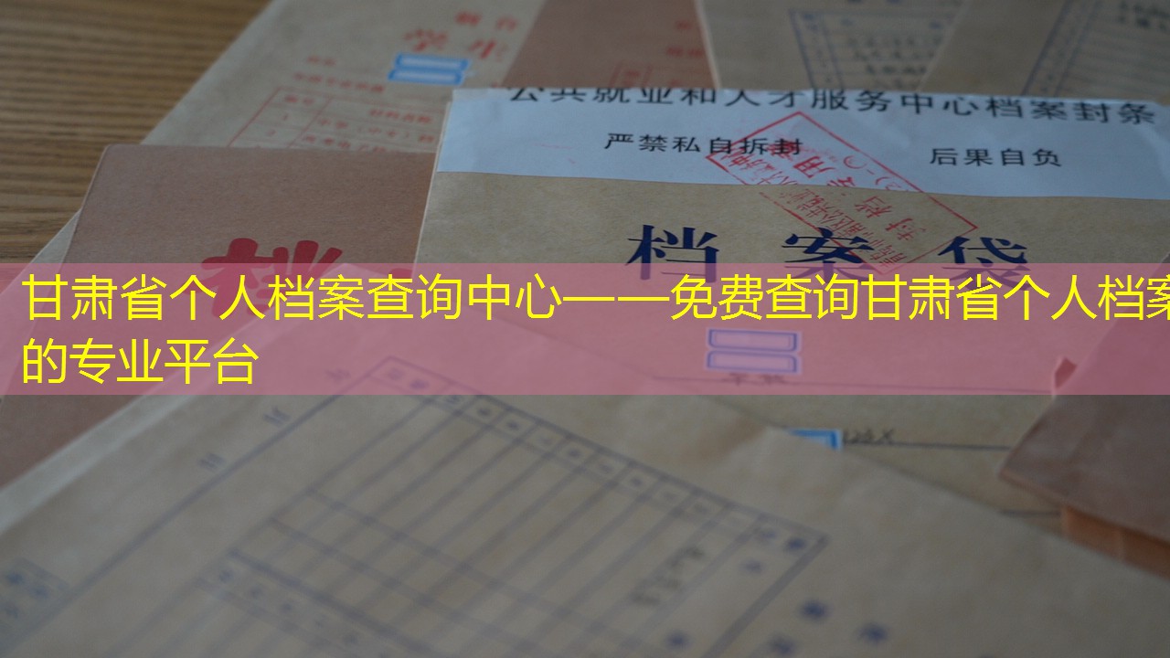 档案查询