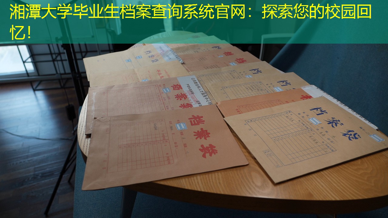 档案查询