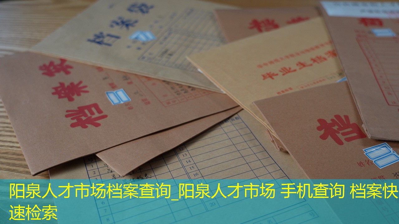 档案查询