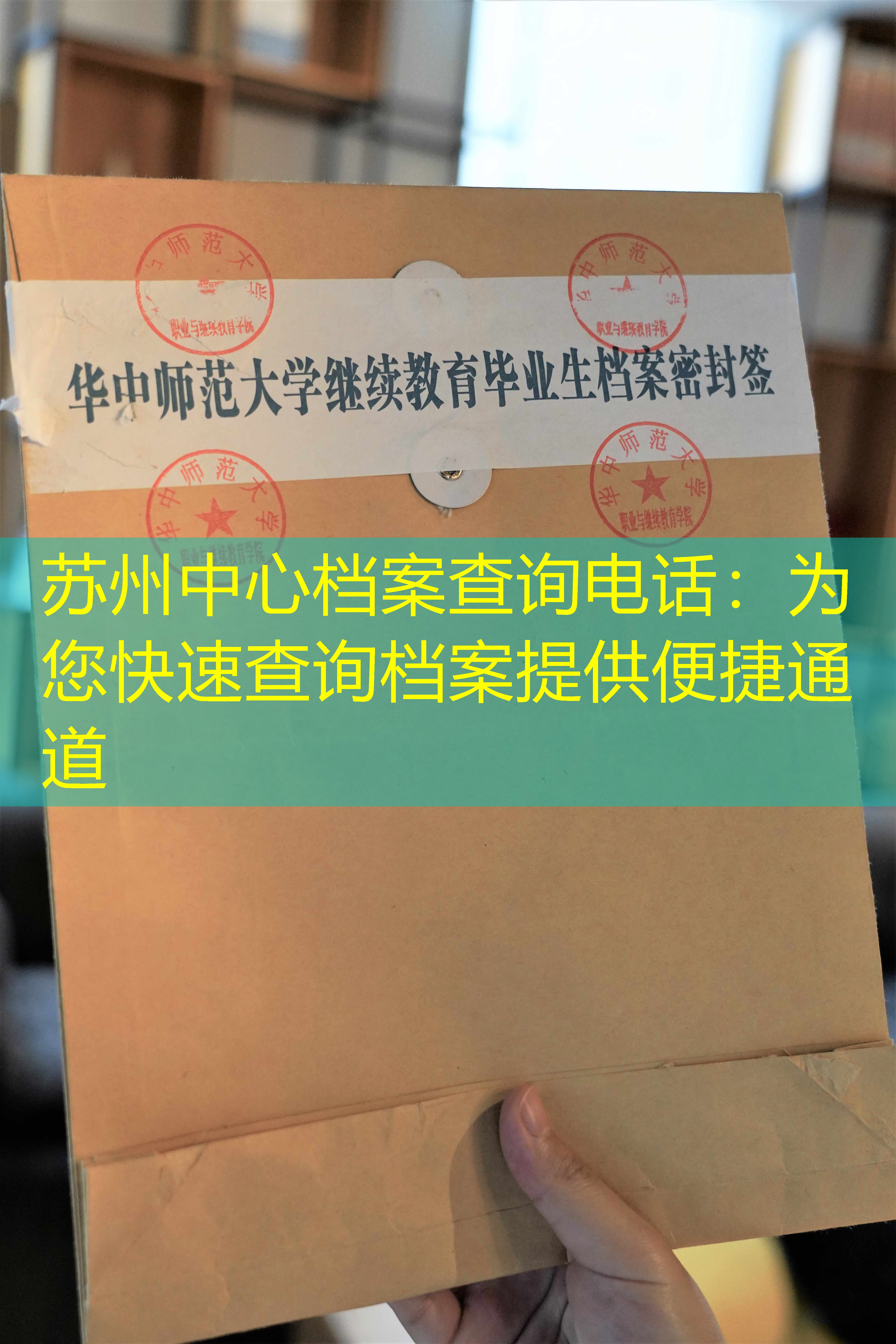 档案查询