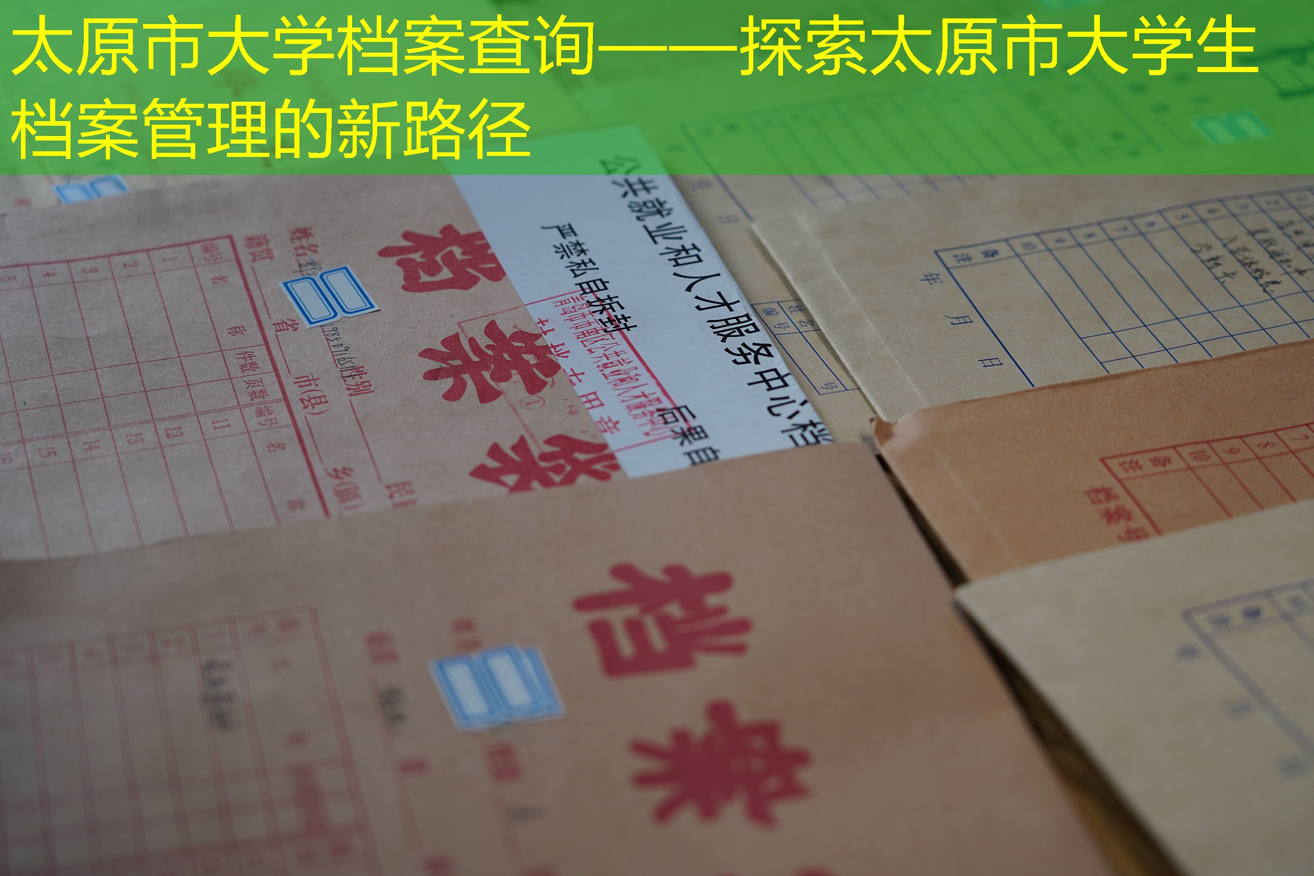 档案查询