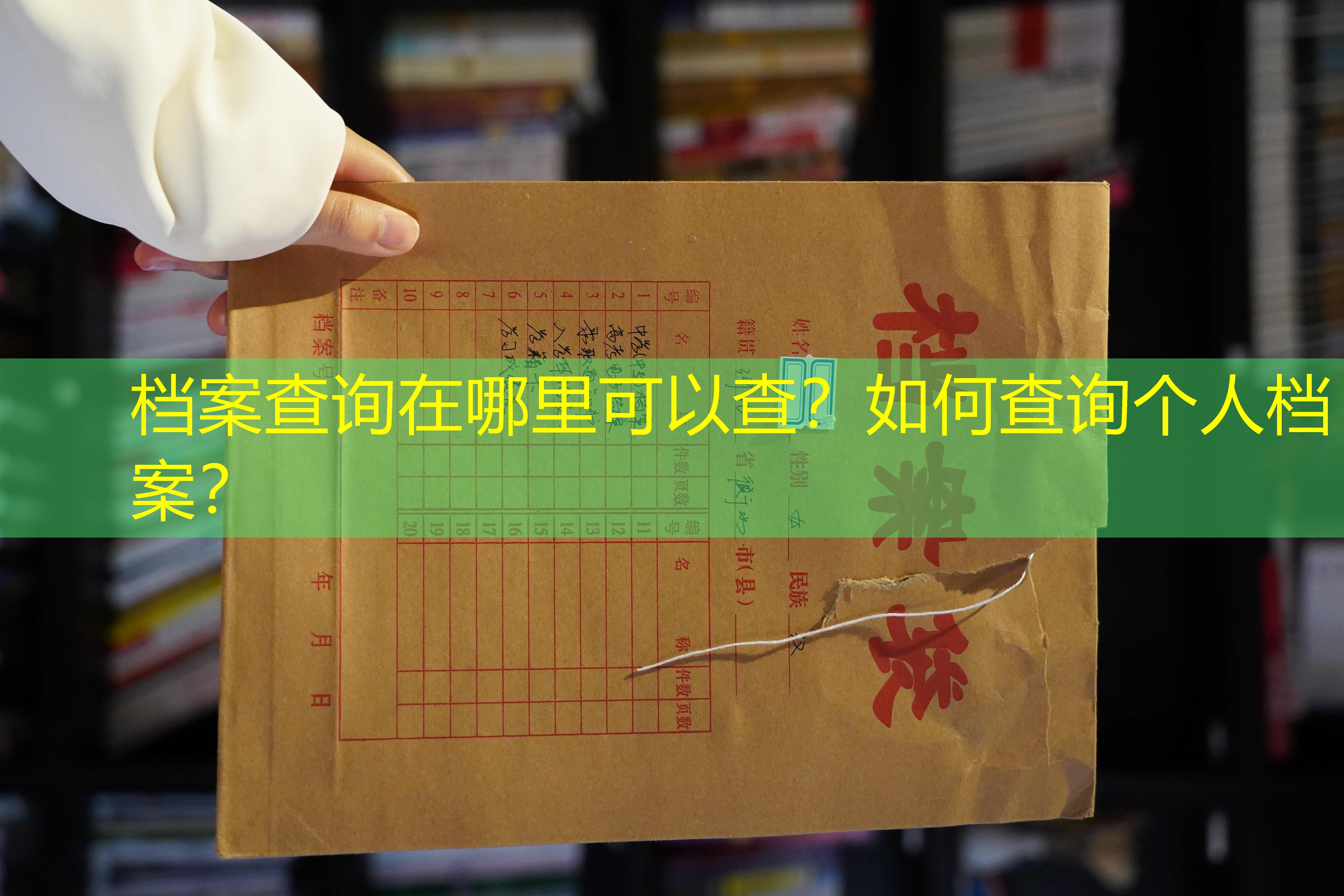档案查询