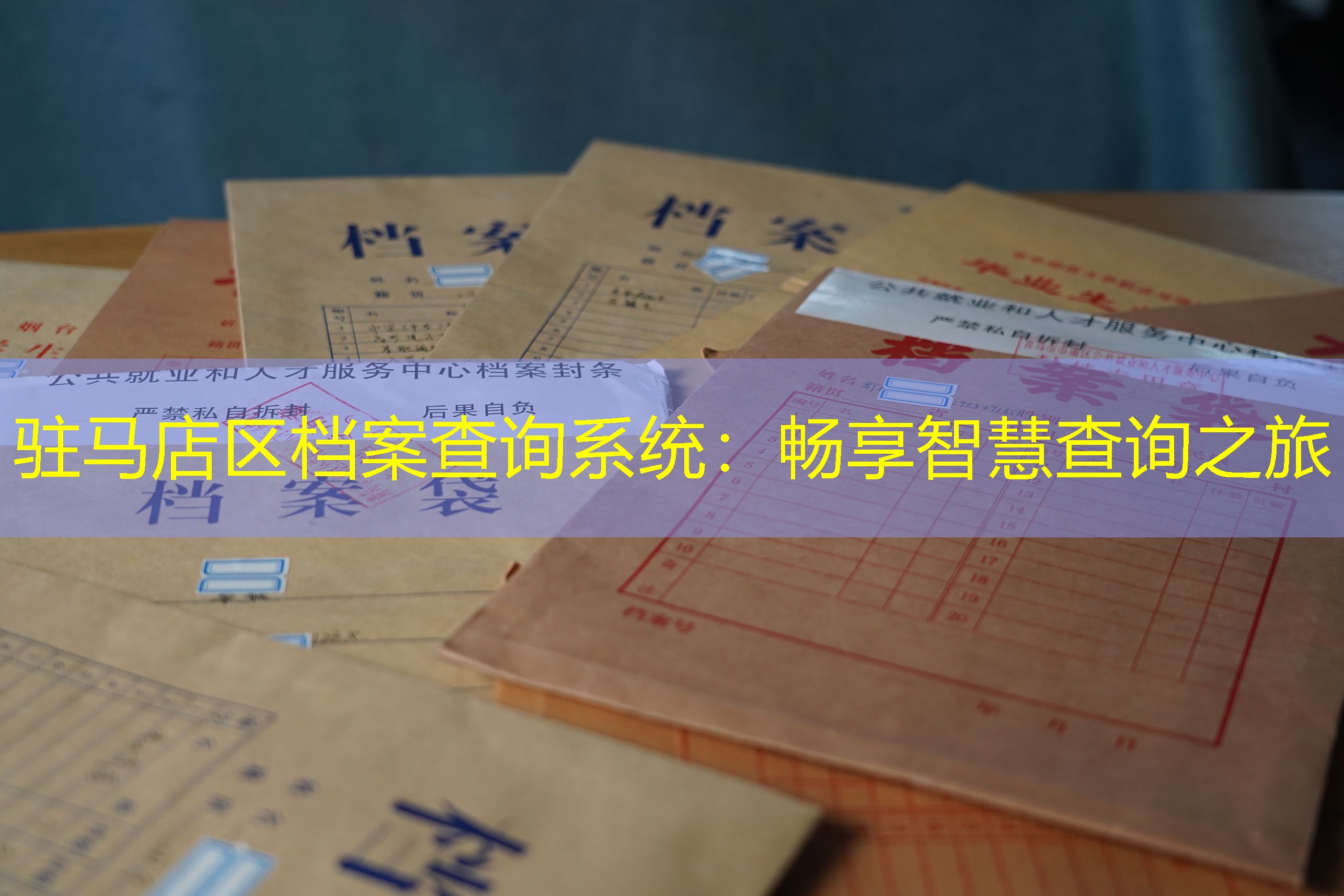 档案查询