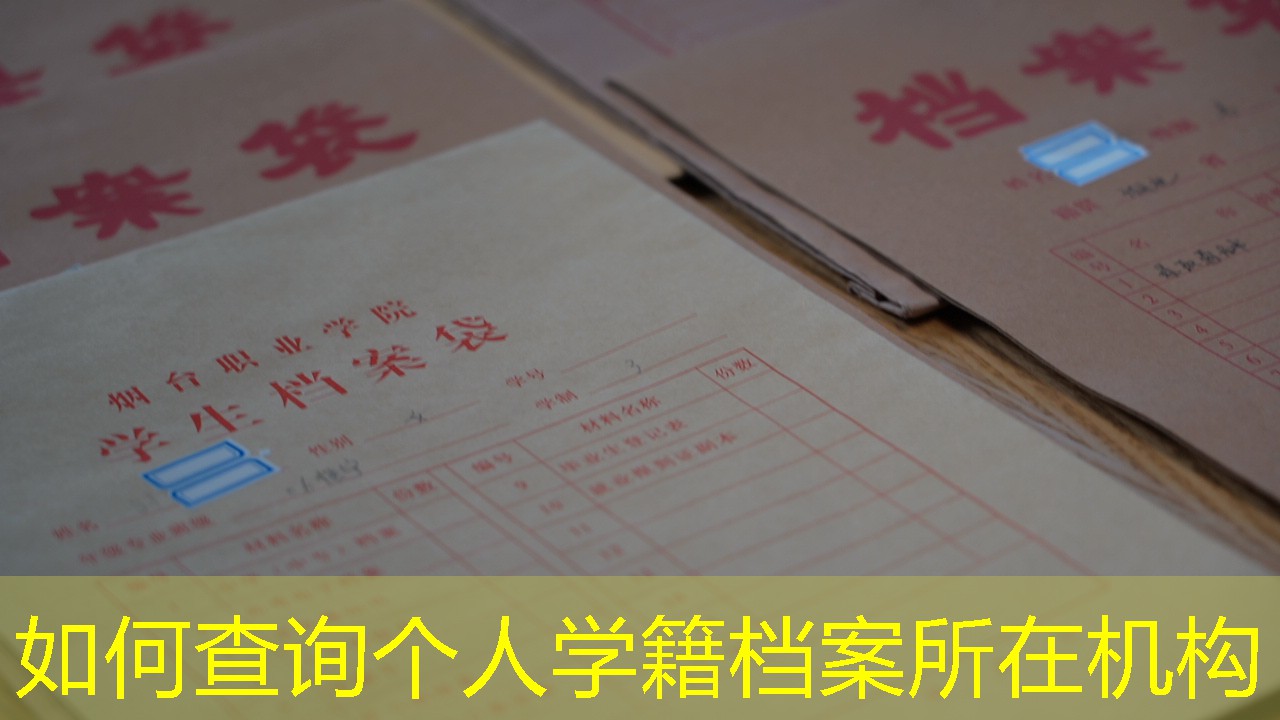 档案查询