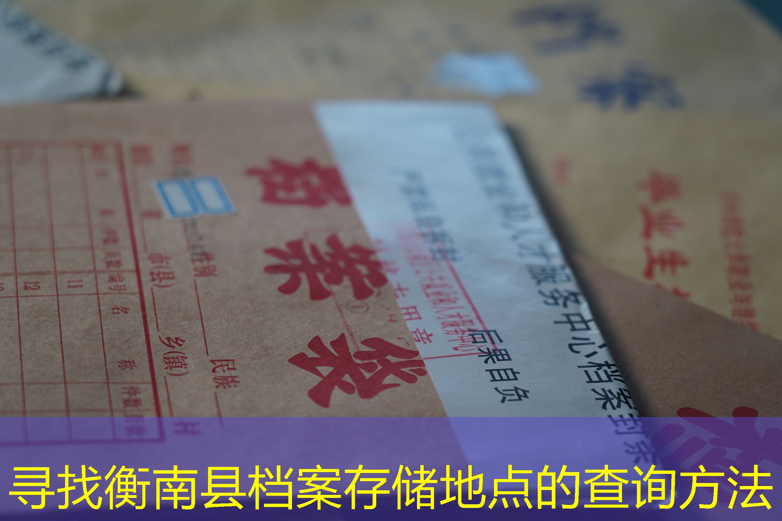 档案查询