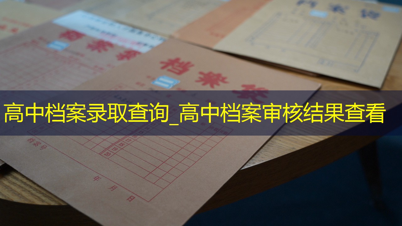 档案查询