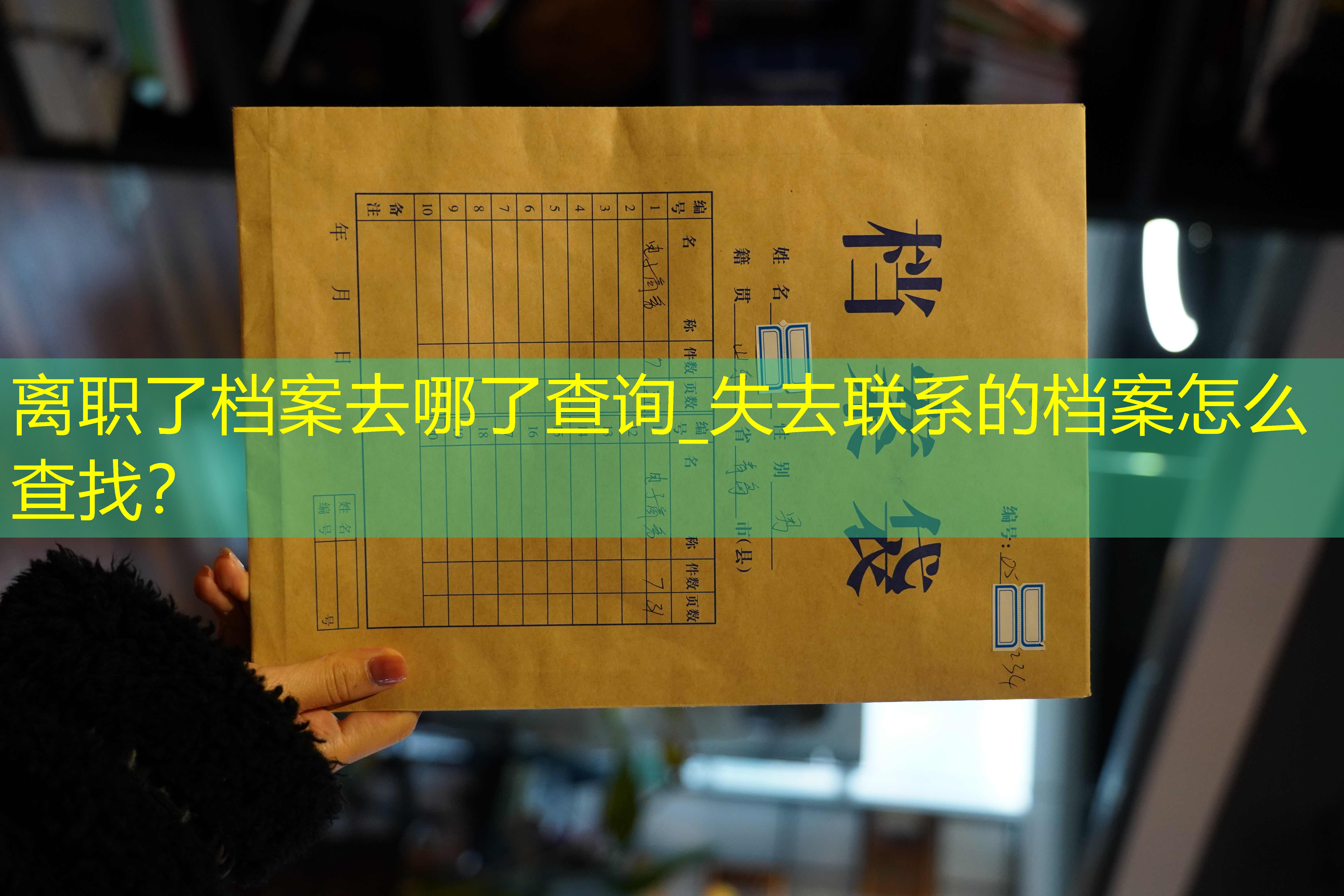 档案查询