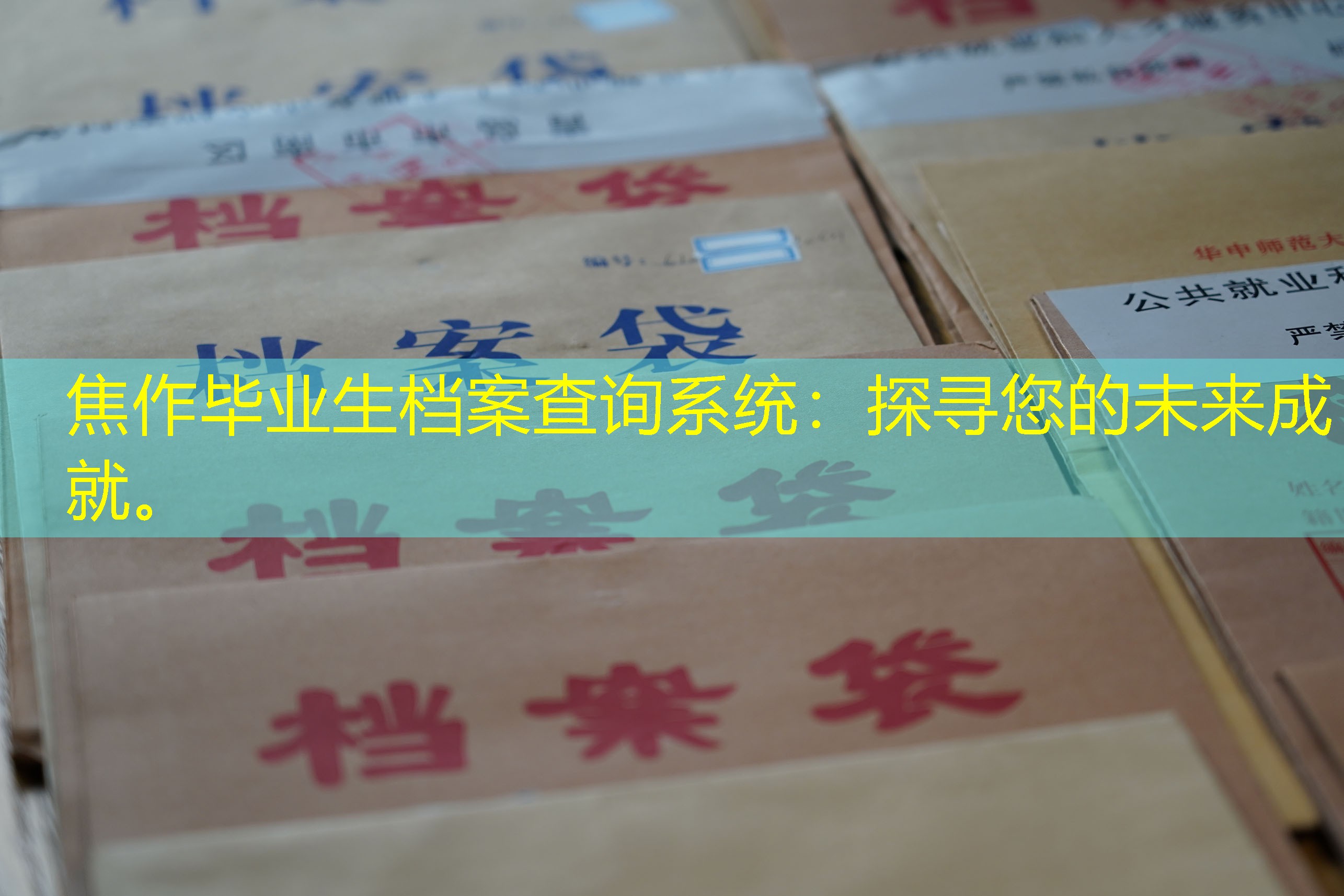 档案查询
