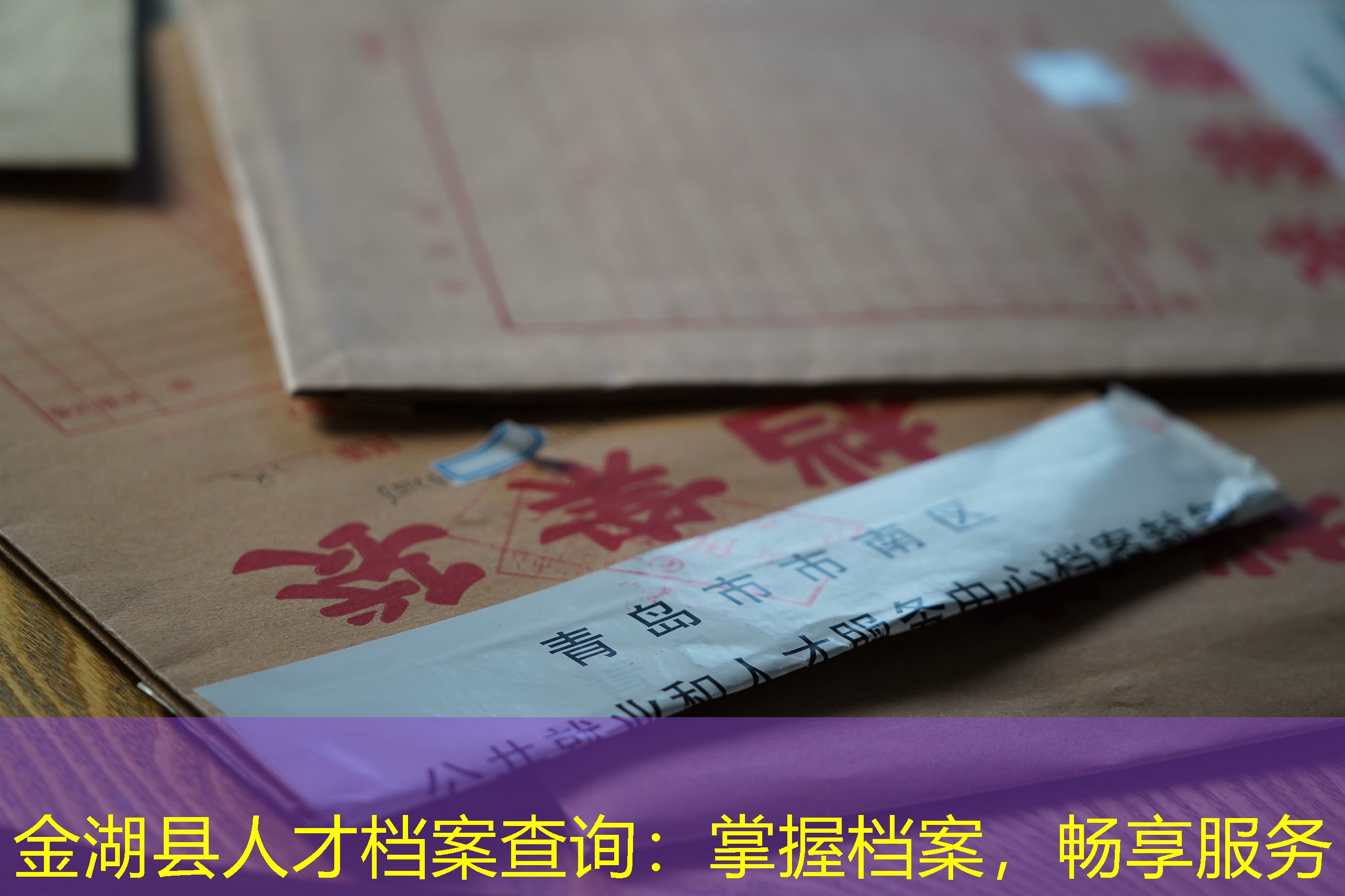 档案查询