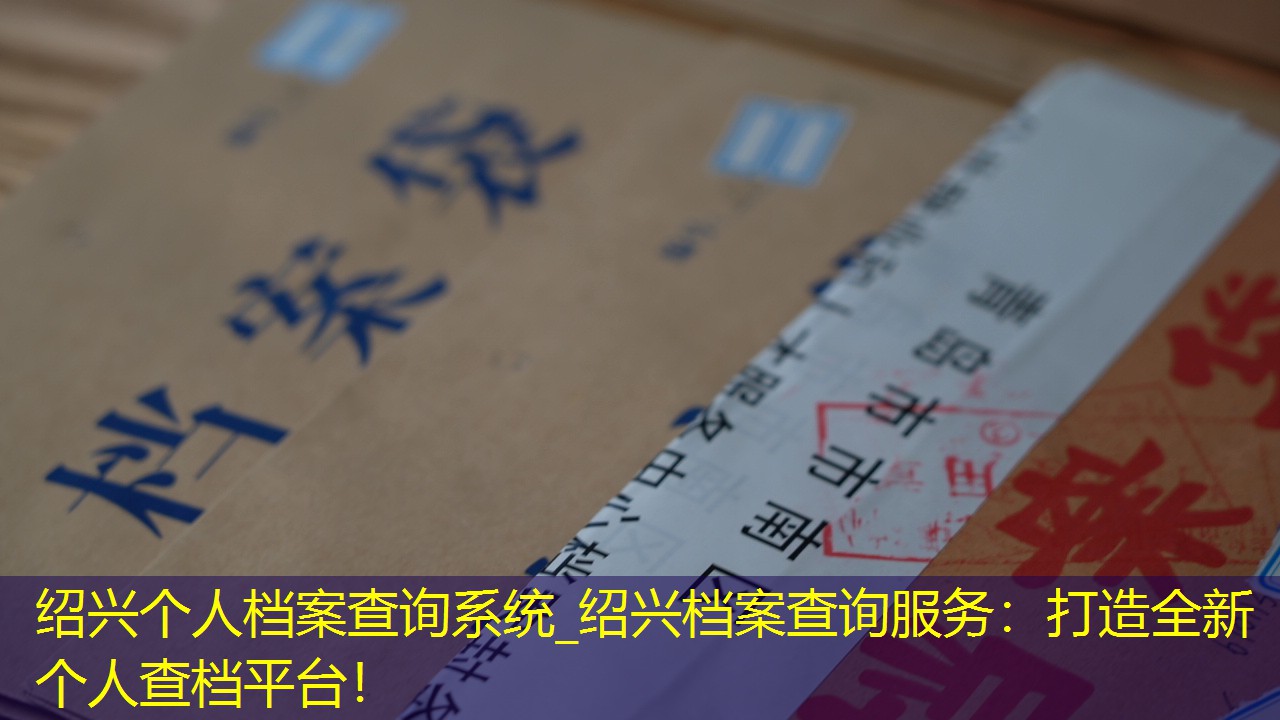 档案查询