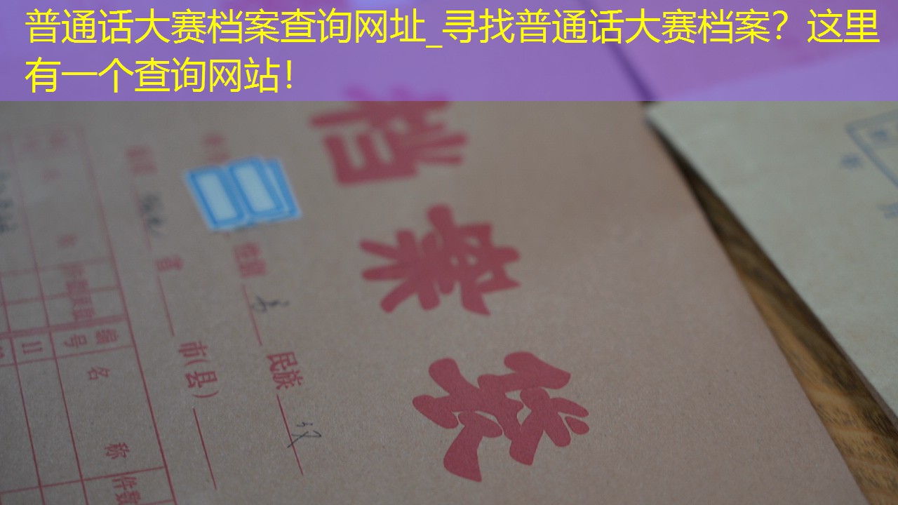 档案查询