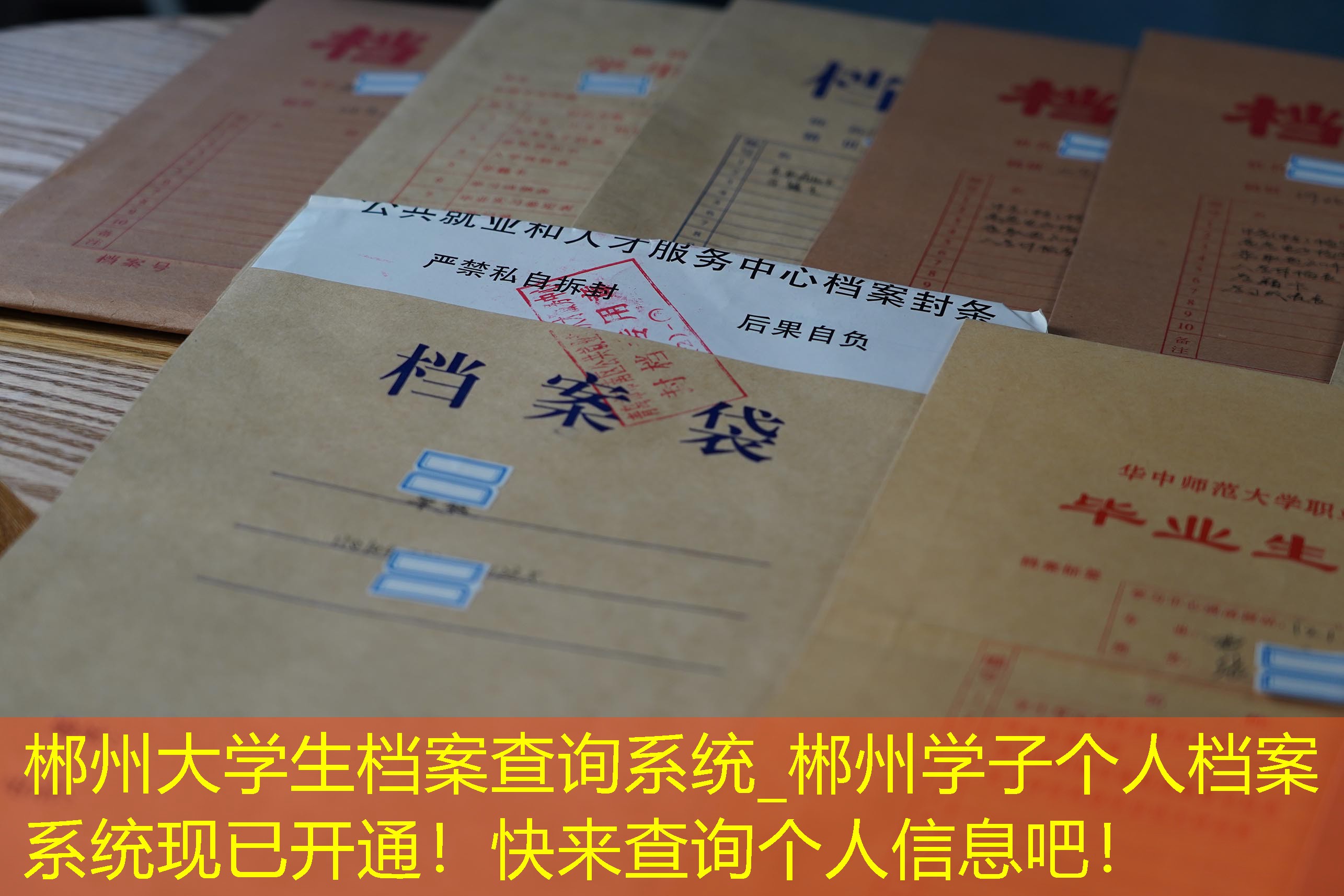 档案查询