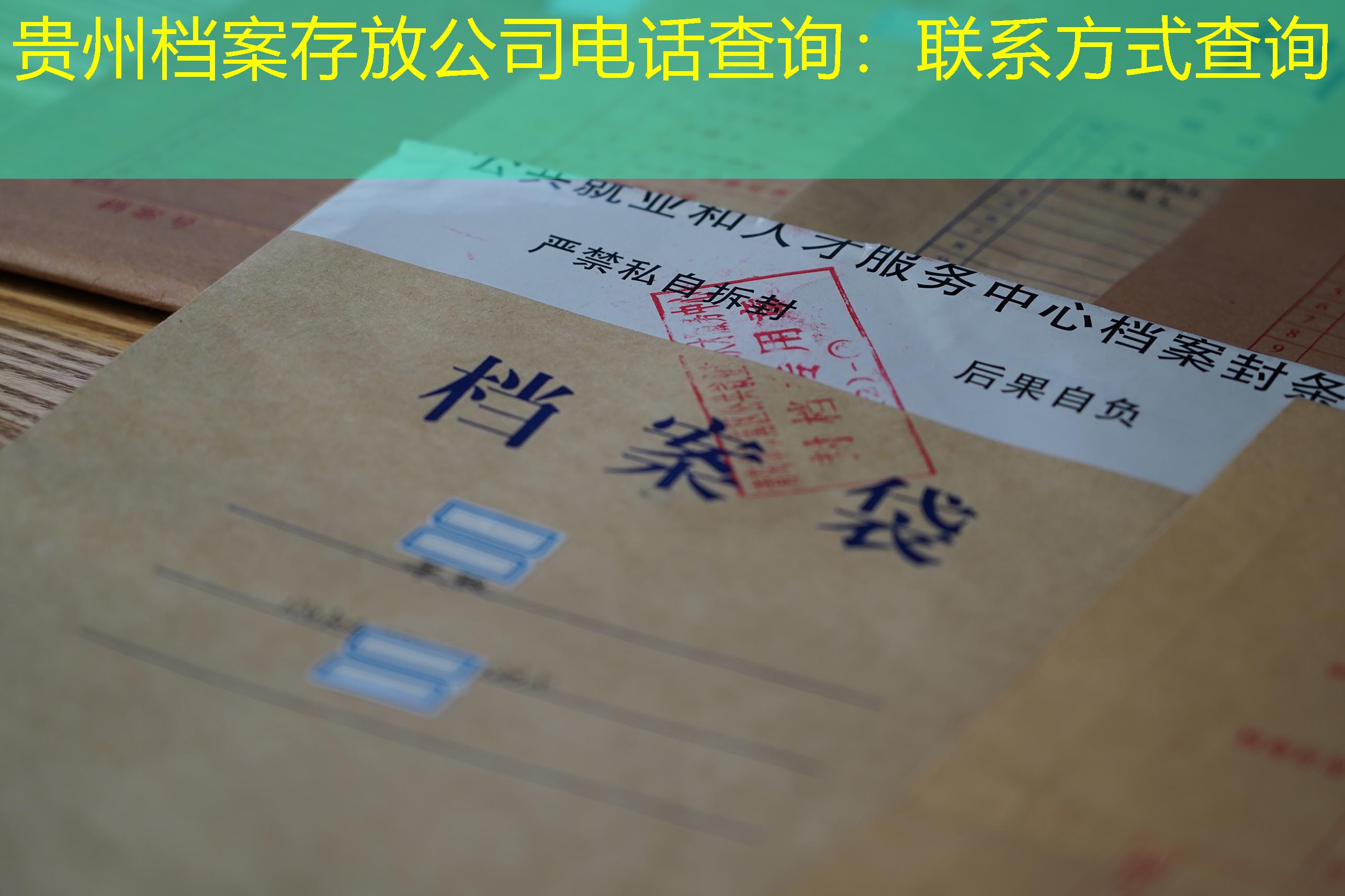 档案查询