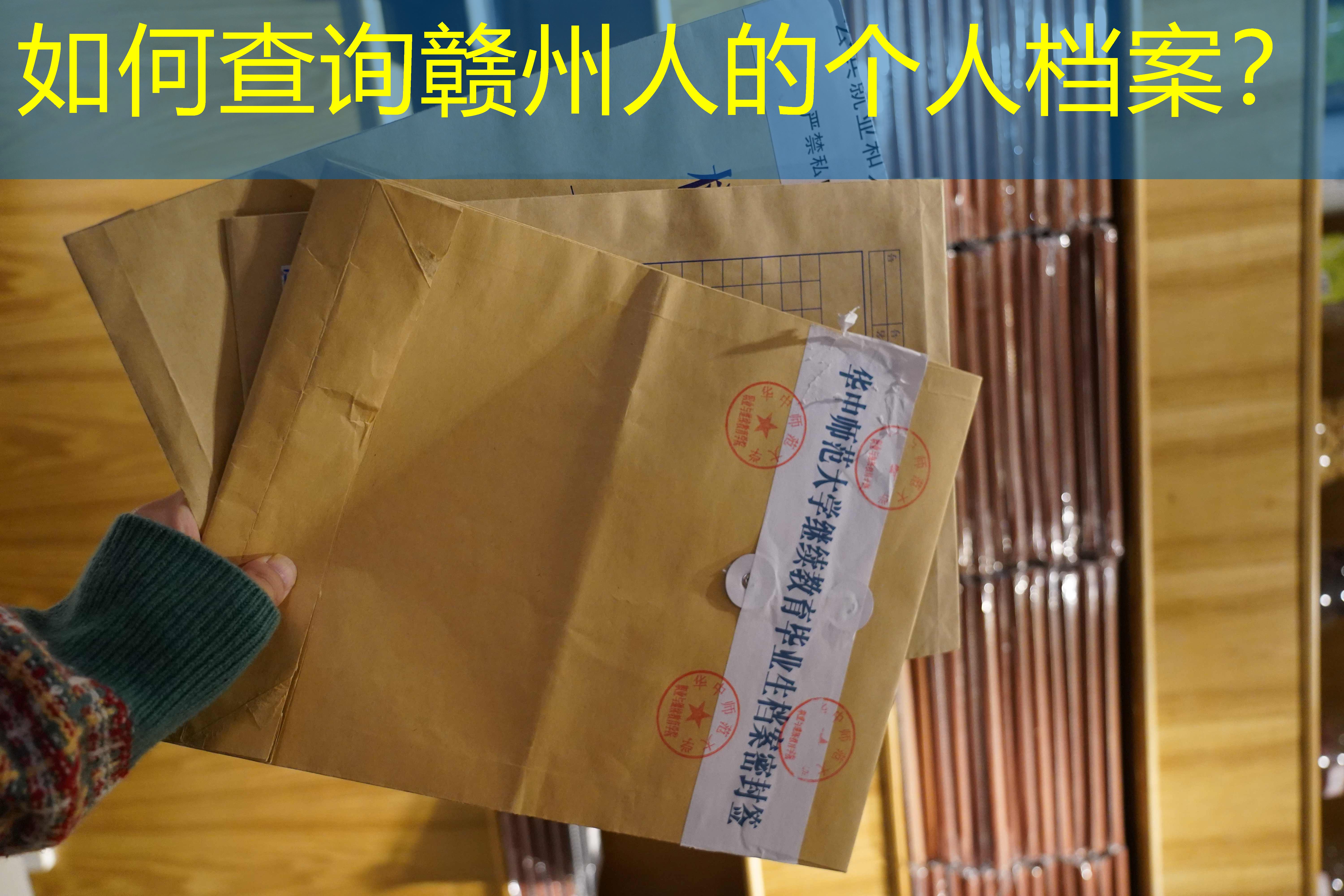 档案查询