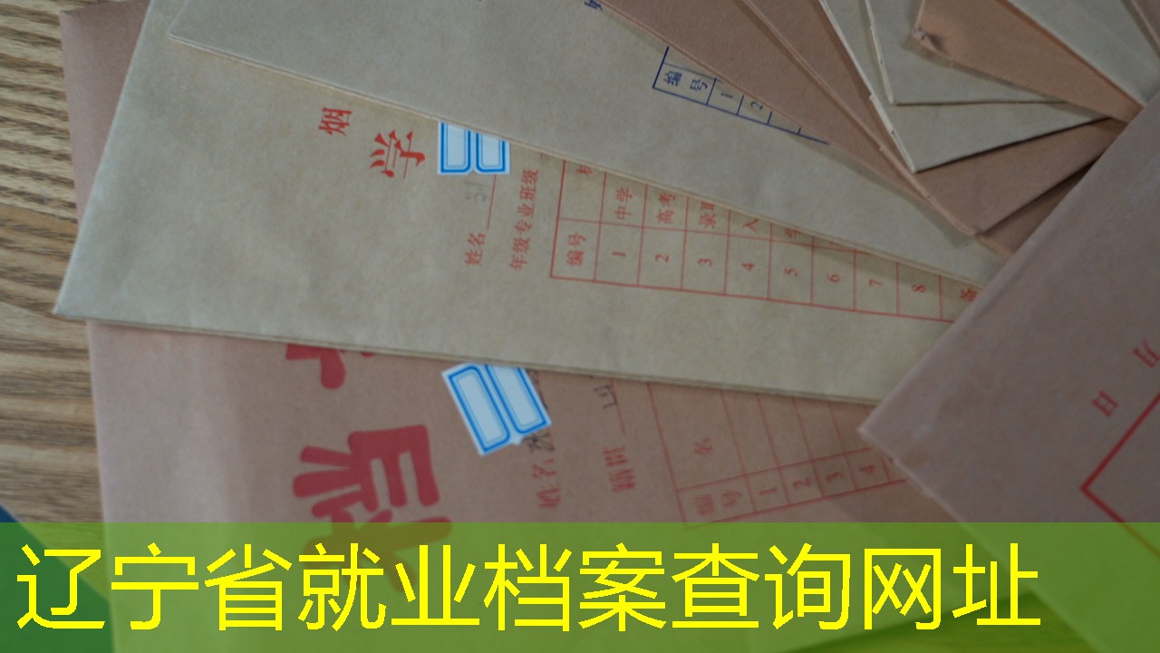 档案查询