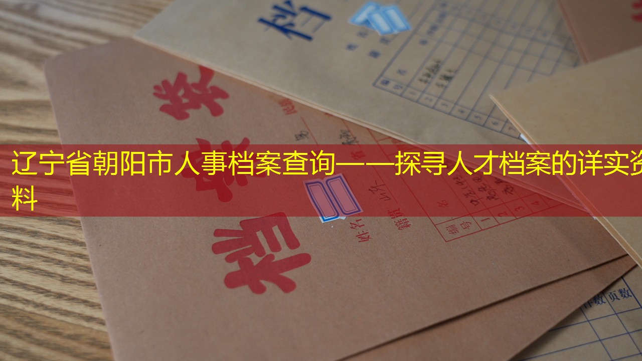 档案查询