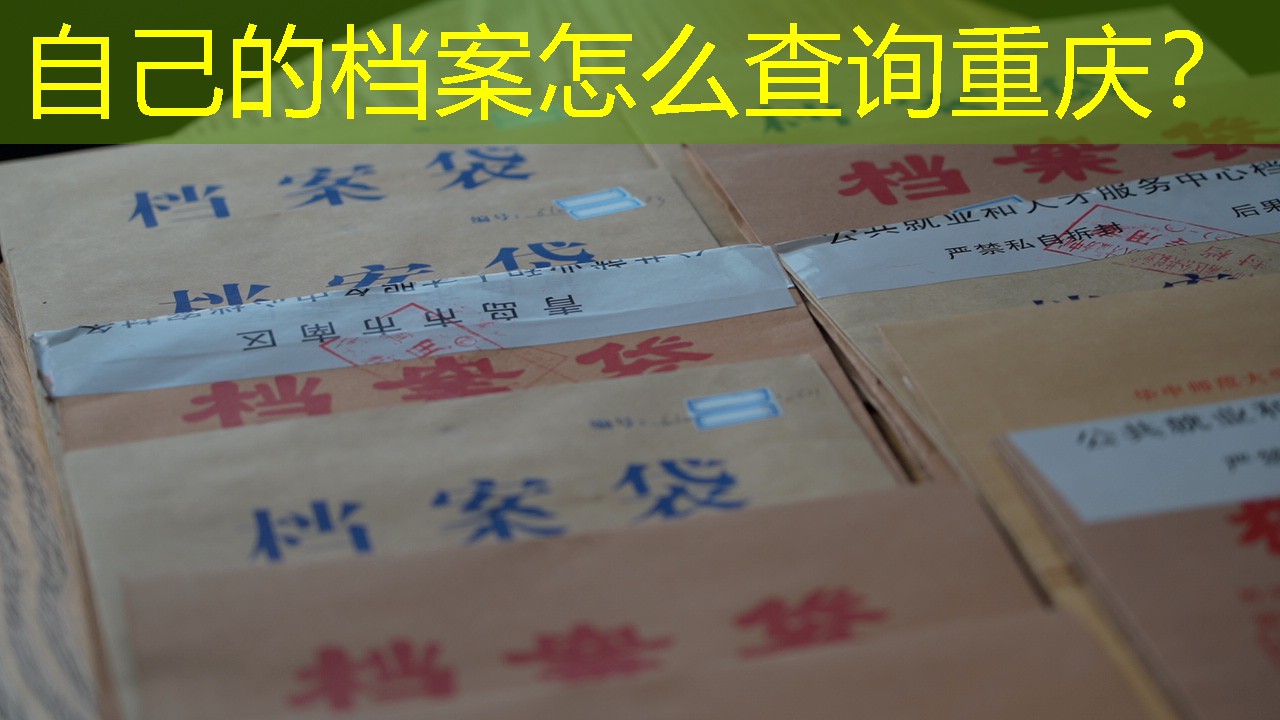 档案查询