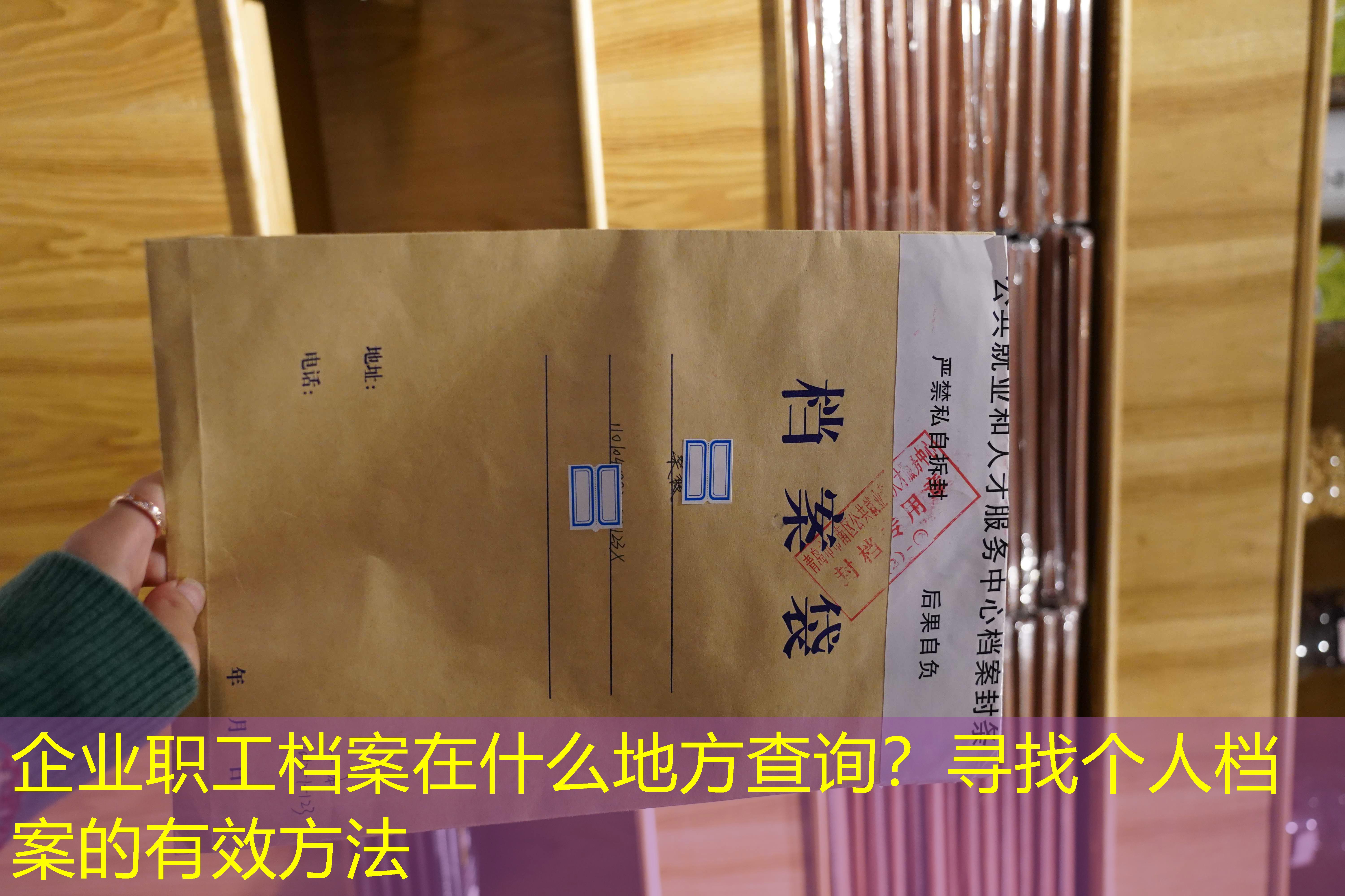档案查询