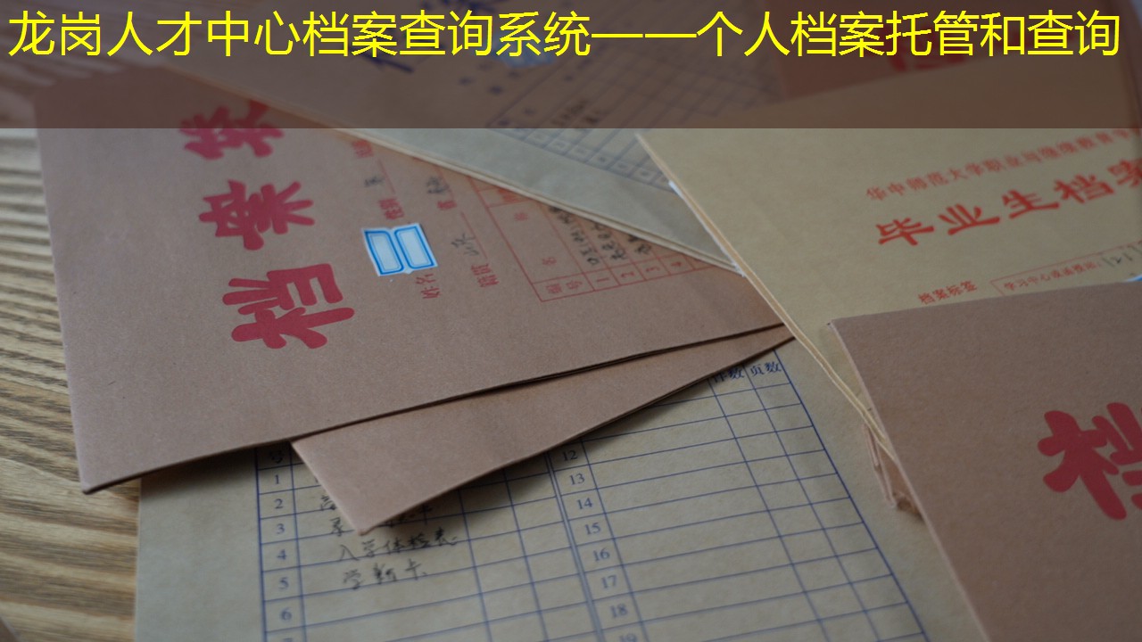 档案查询