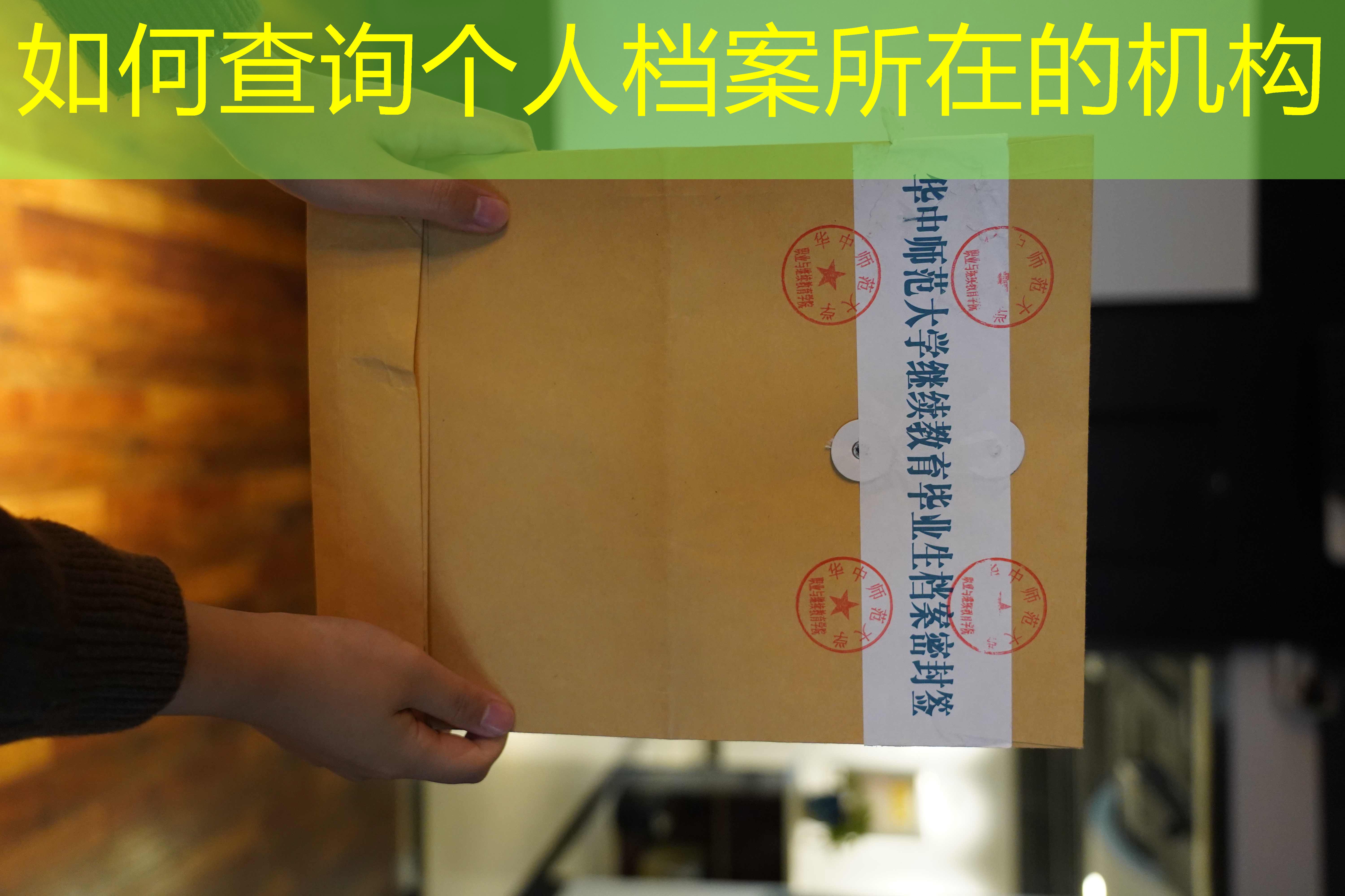 档案查询