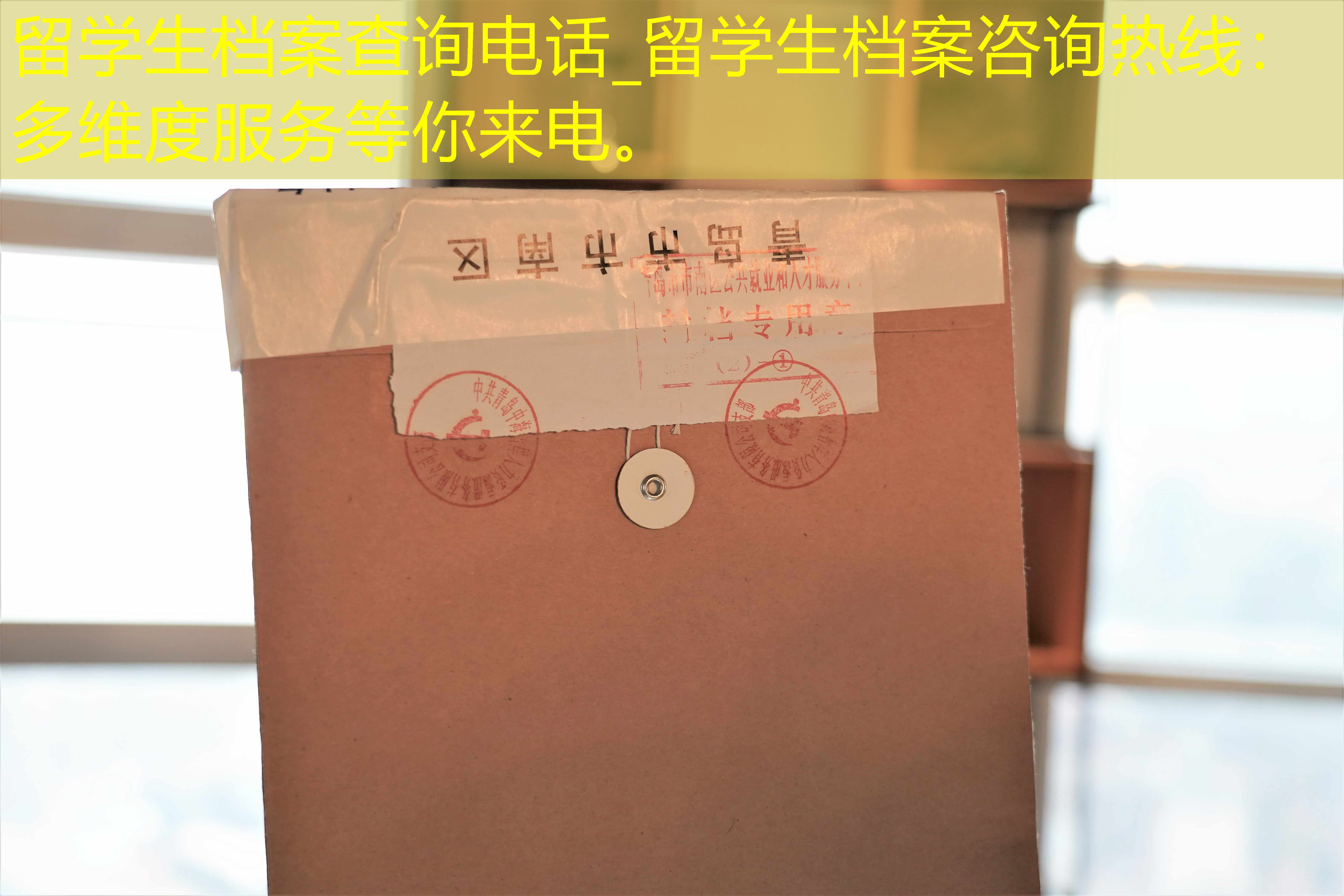 档案查询