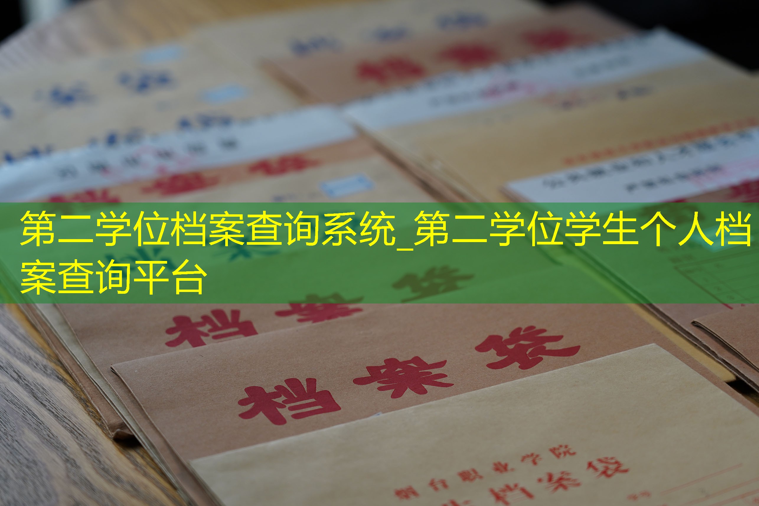 档案查询