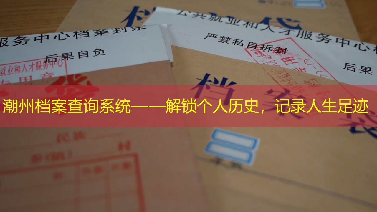 档案查询