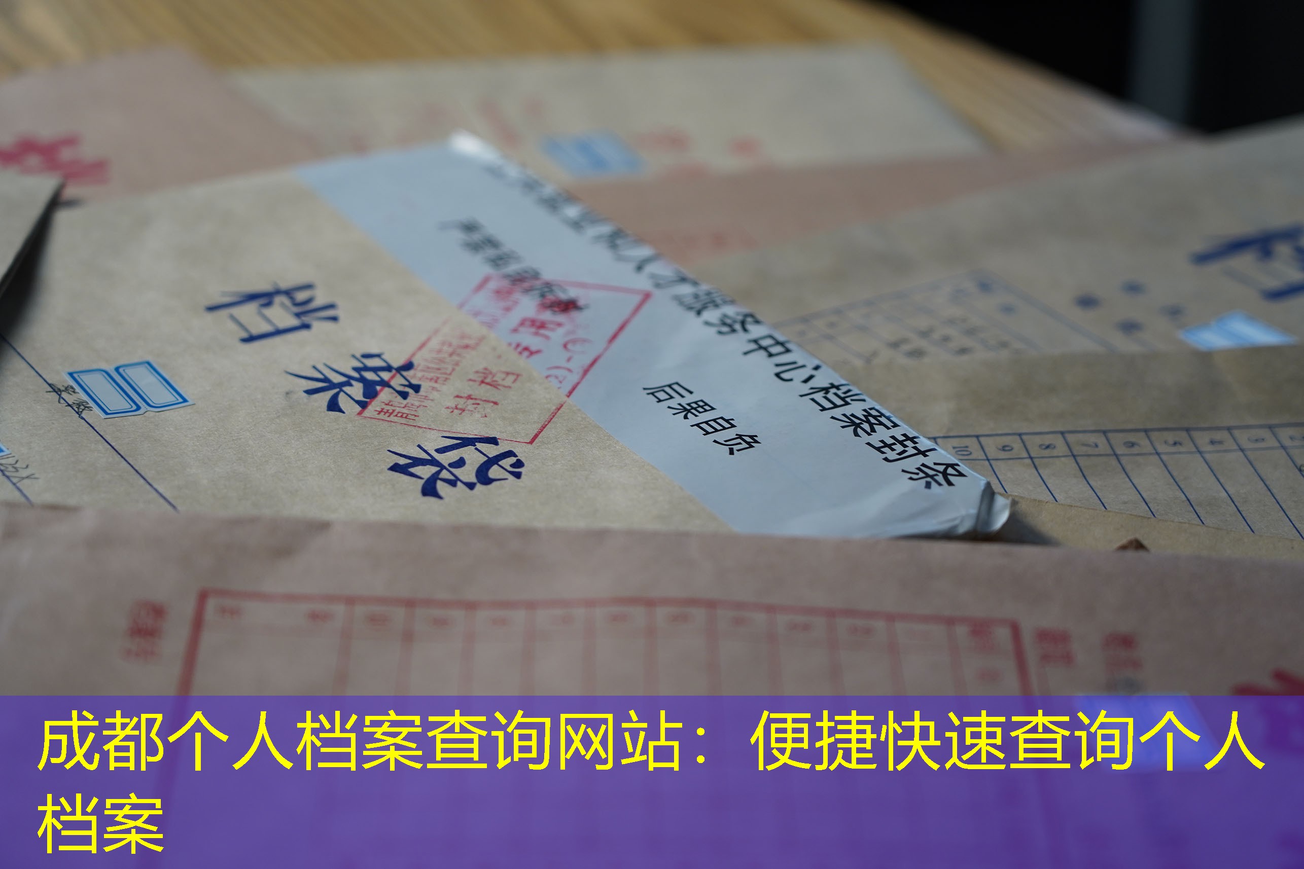 档案查询