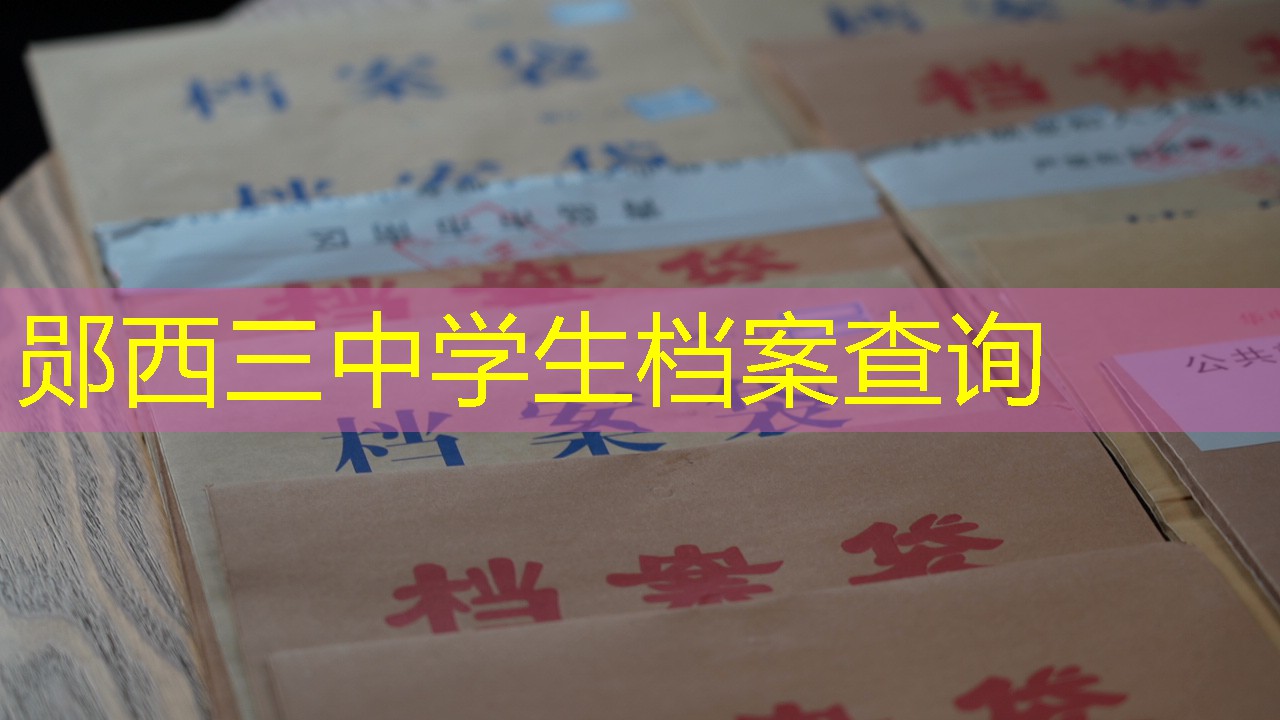 档案查询