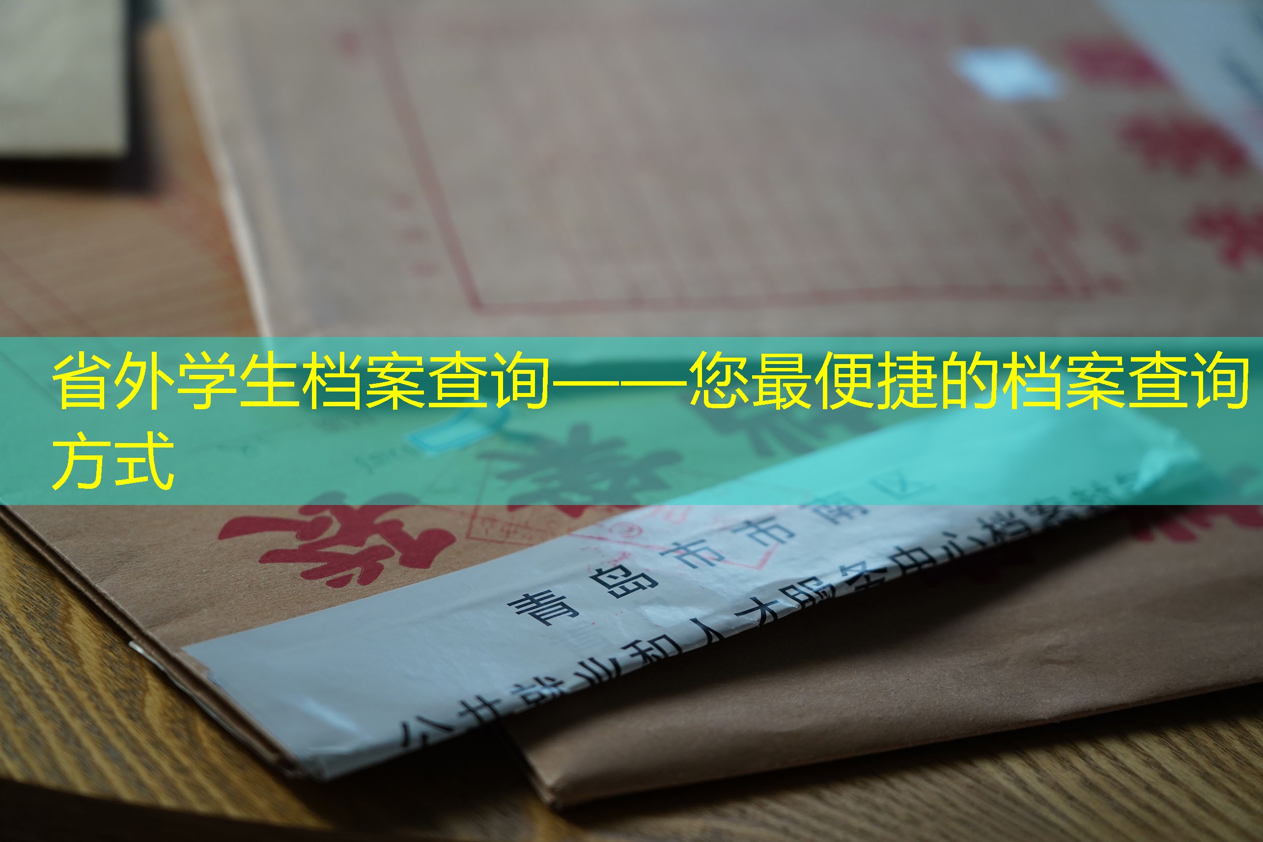 档案查询