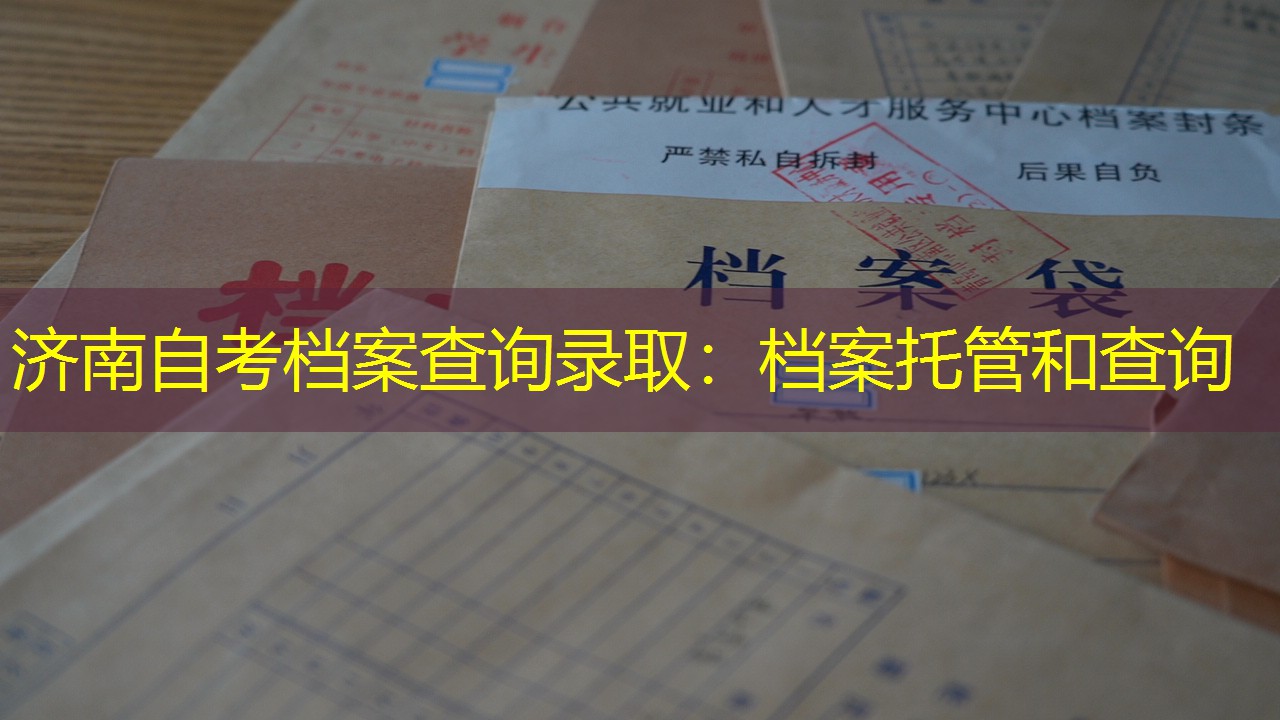 档案查询