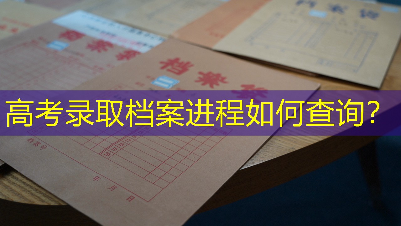 档案查询