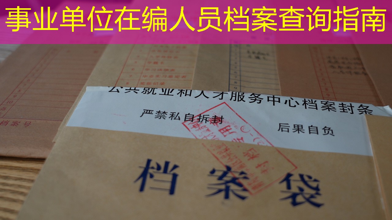档案查询