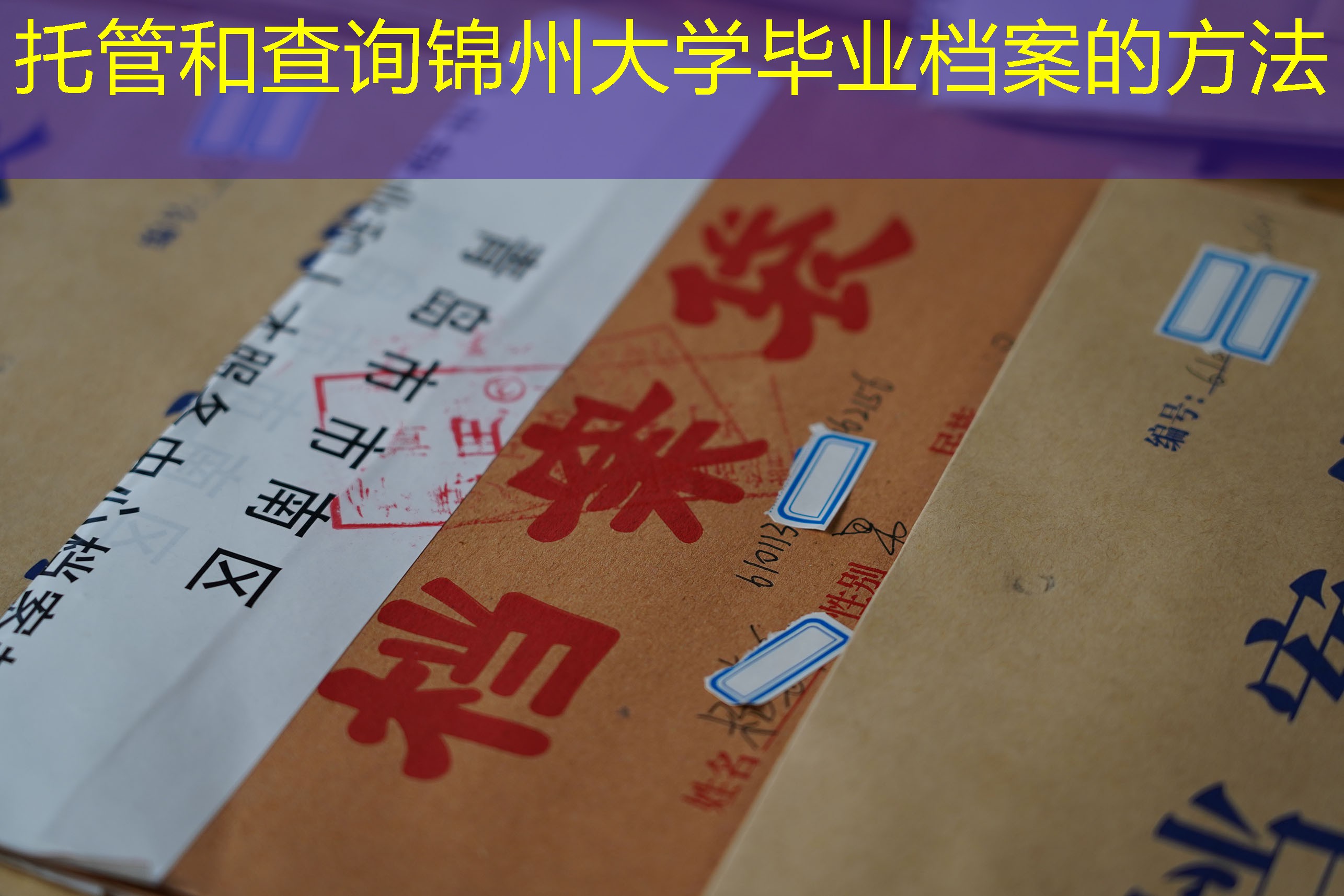 档案查询