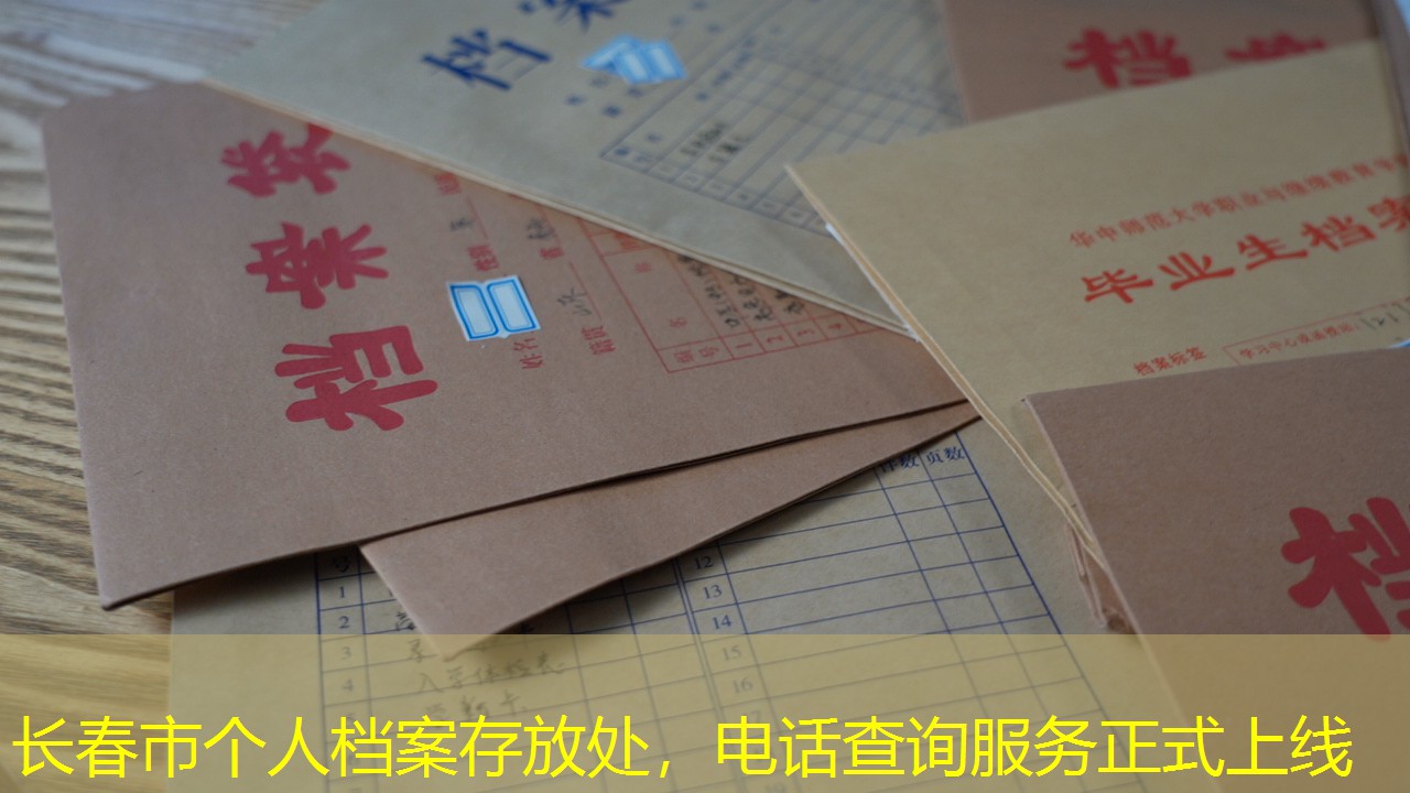 档案查询