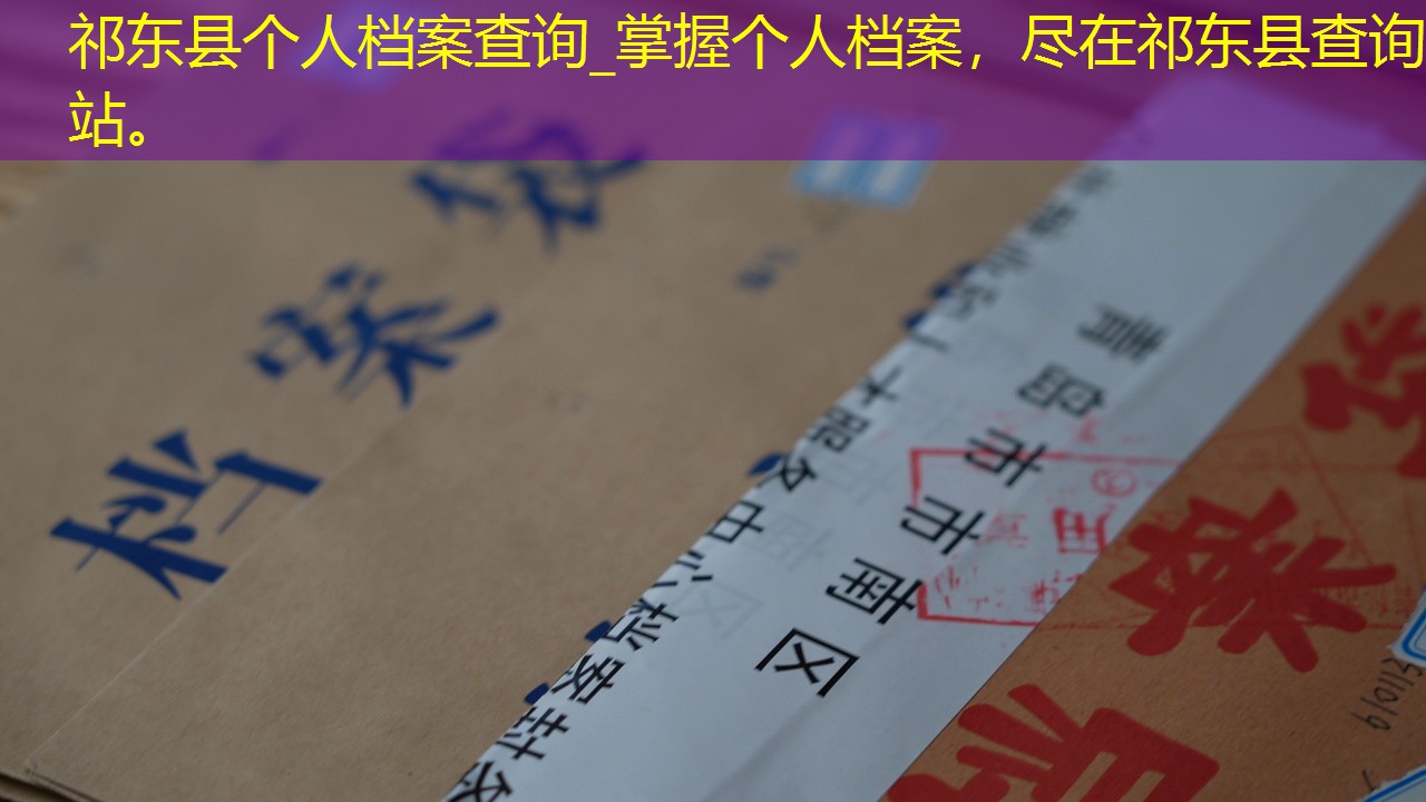 档案查询