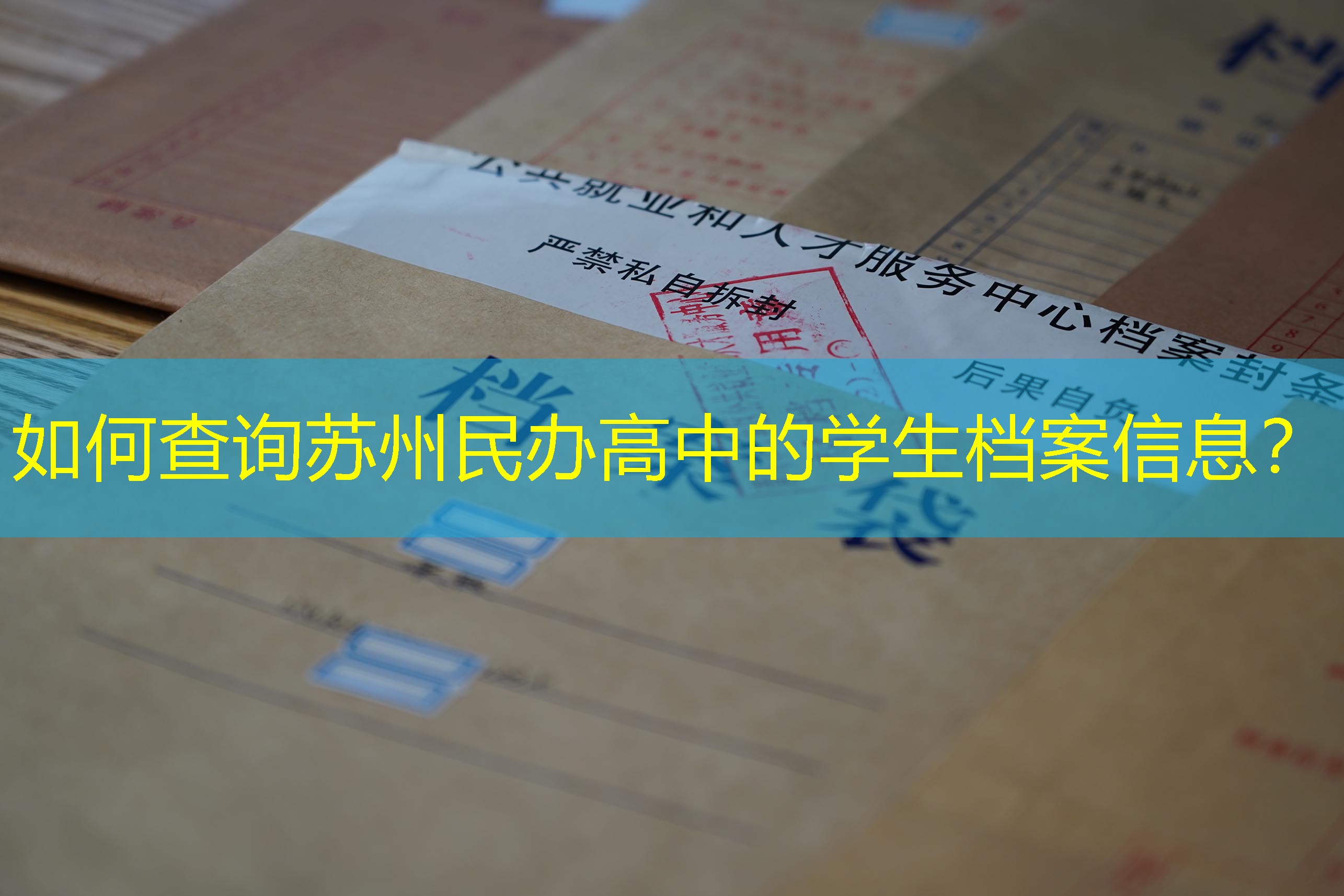 档案查询