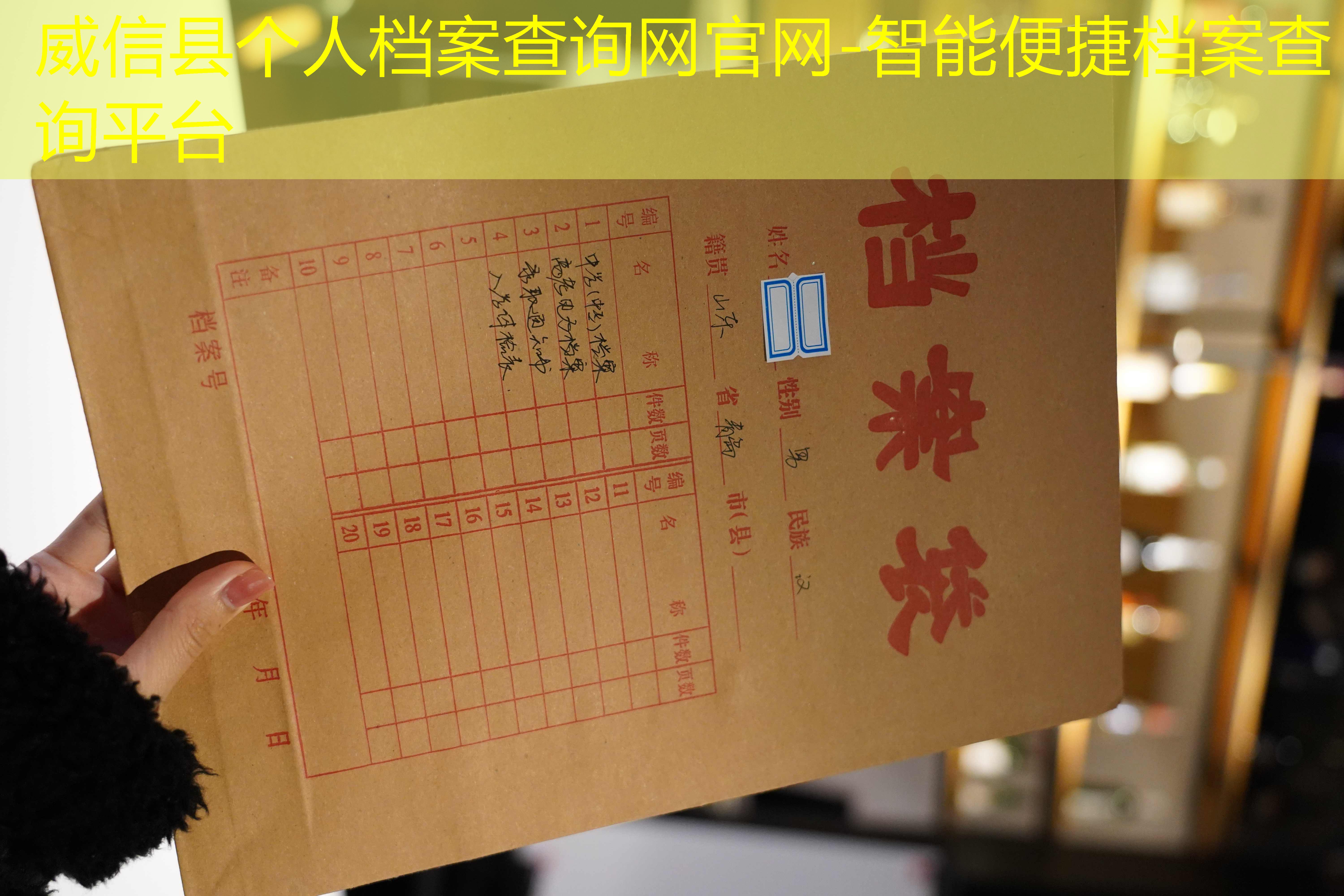 档案查询