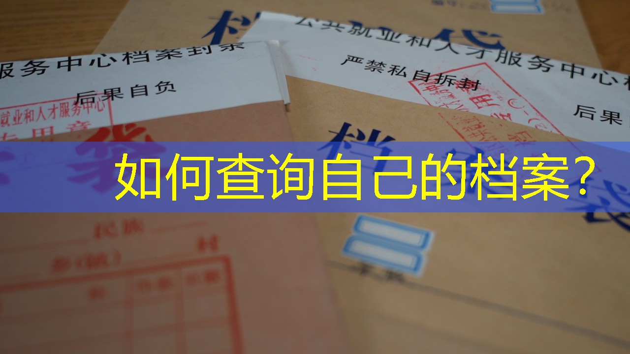 档案查询