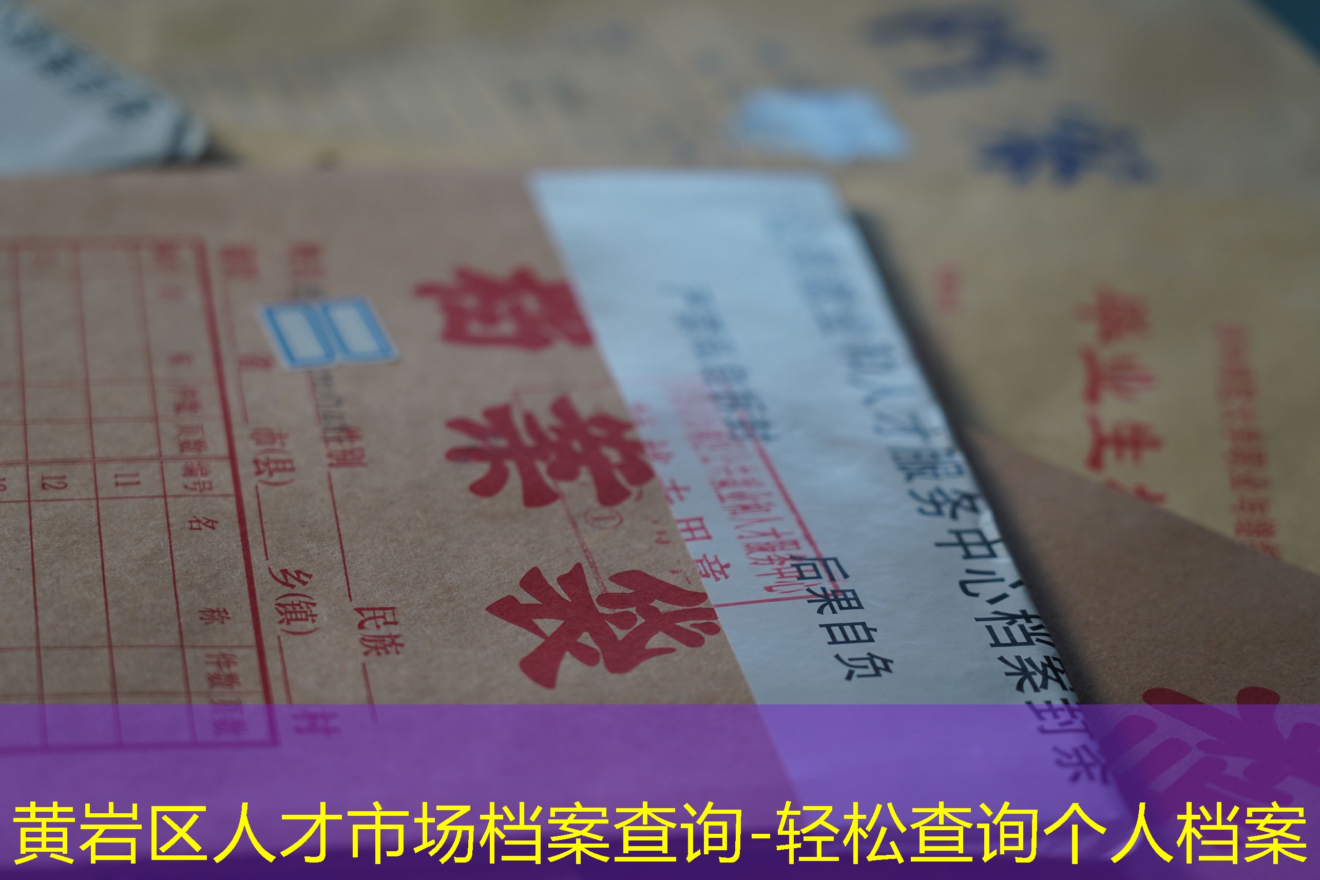档案查询