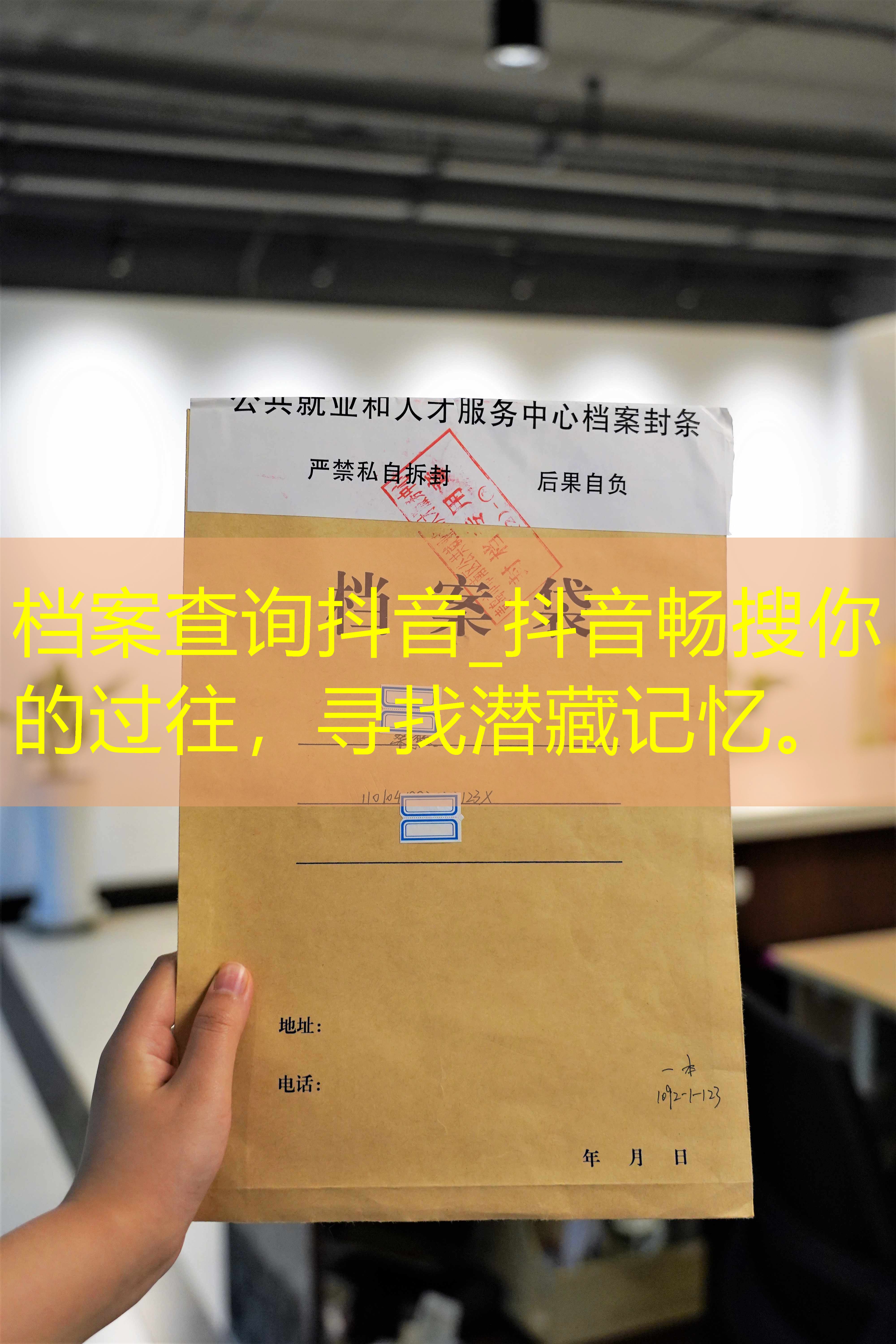 档案查询